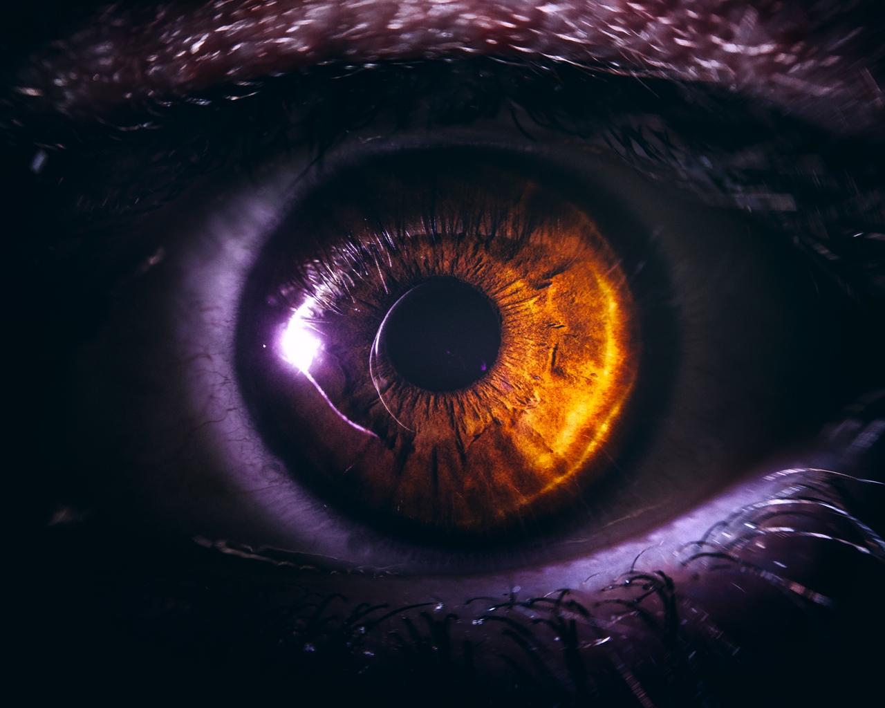 Download wallpapers 1280x1024 eye, pupil, close