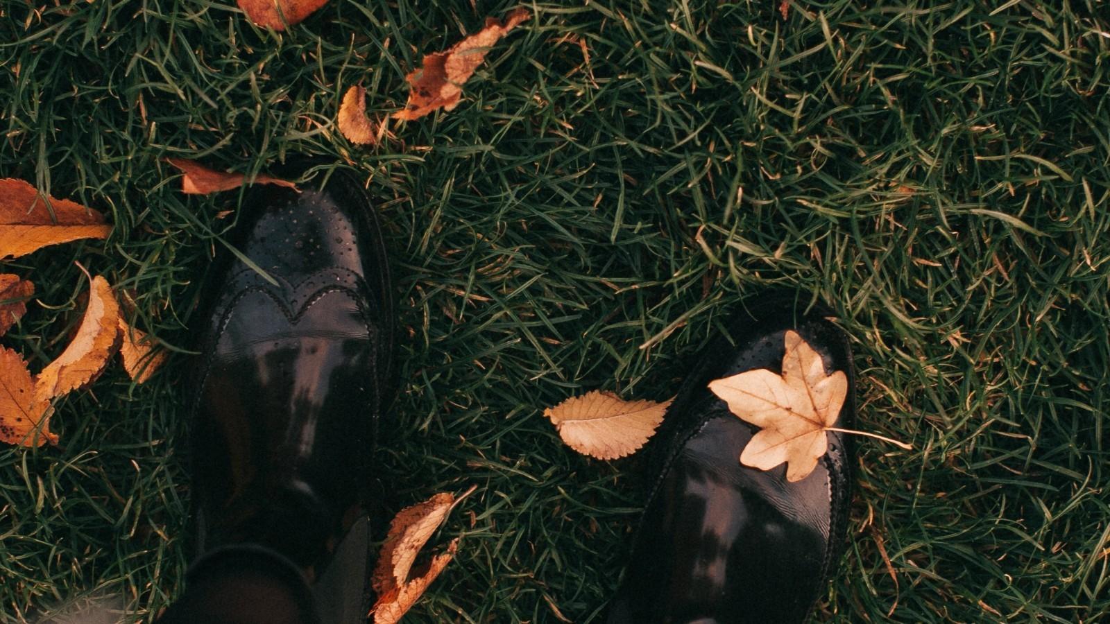 Download 1600x900 Autumn Leaves, Grass, Boots Wallpaper