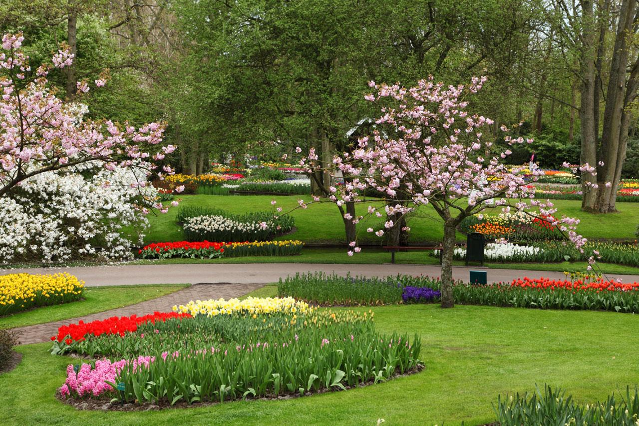 Flower Garden Hd Free Wallpaper Download