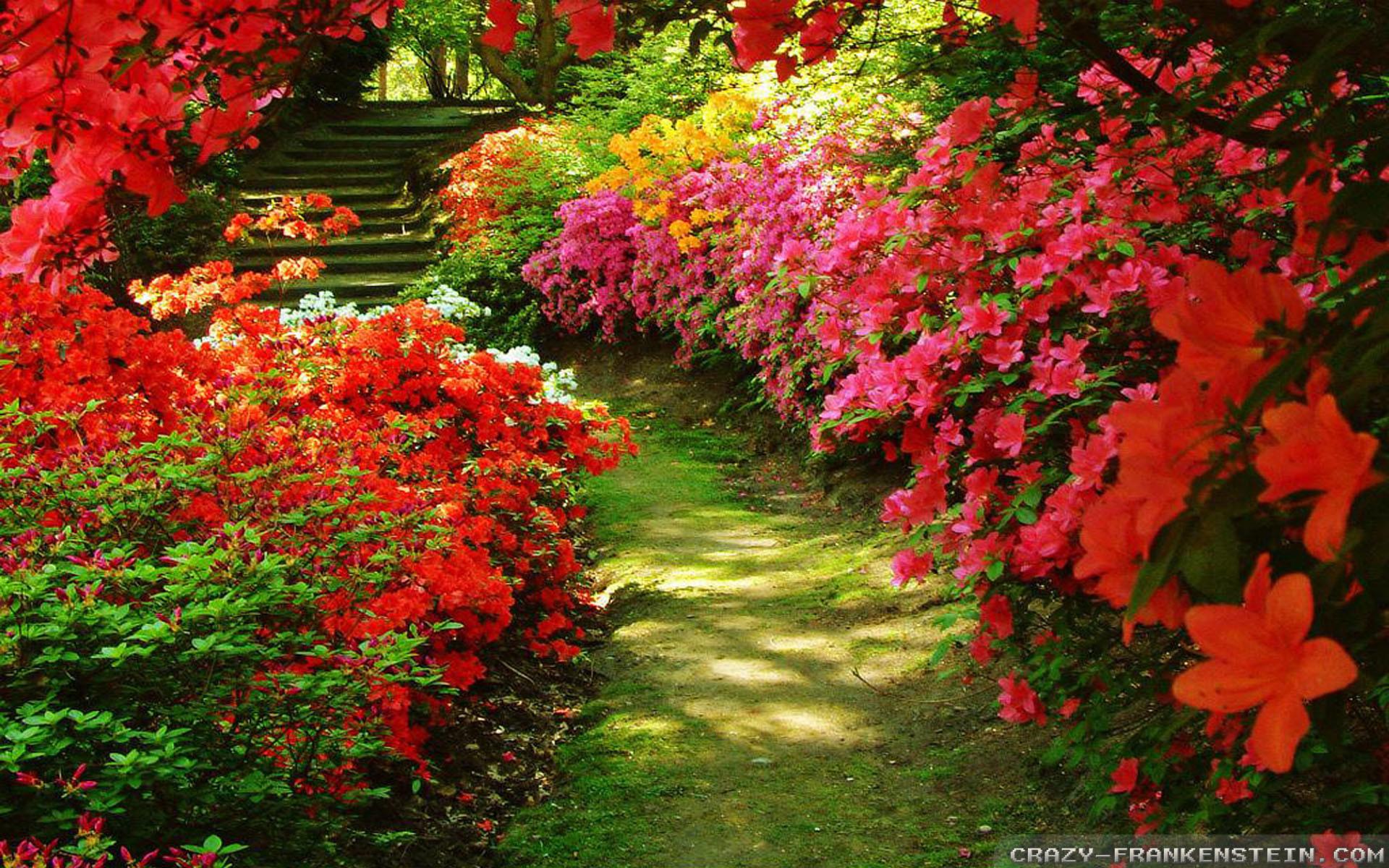 Flower Gardens Wallpaper background picture