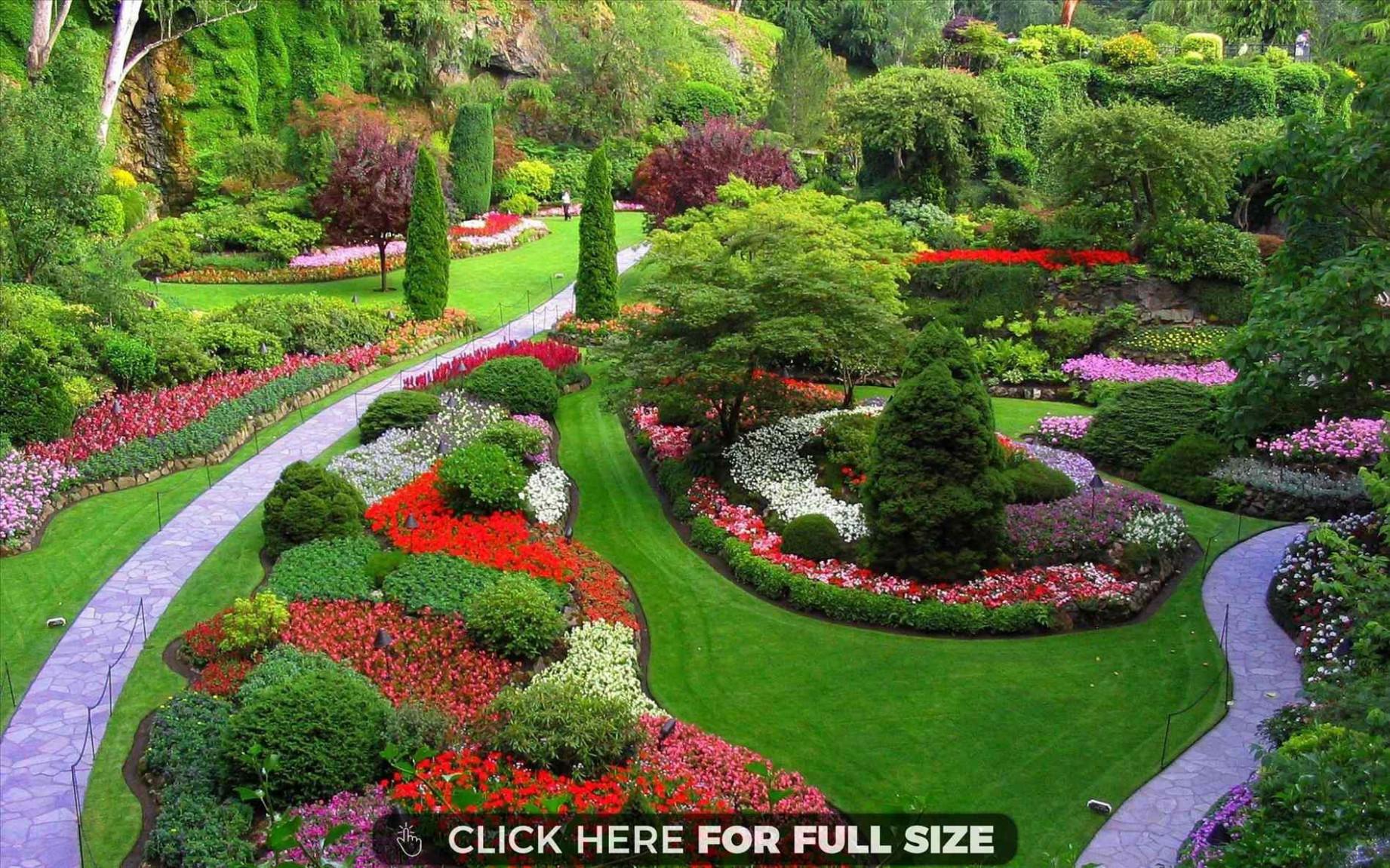photos flowers gardens wallpaper for desktop full size and cotton