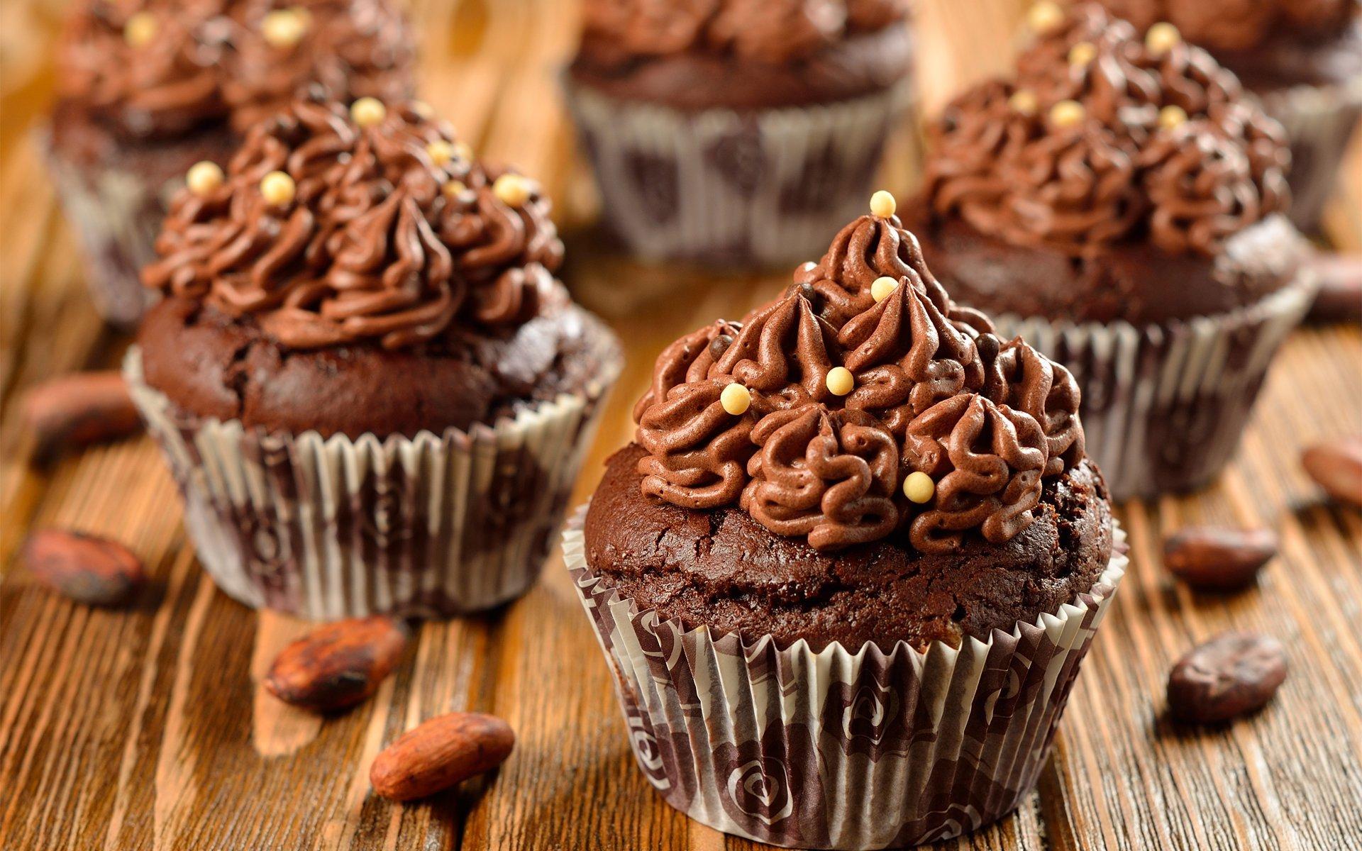cupcakes chocolate cream sweet cacao beans HD wallpaper