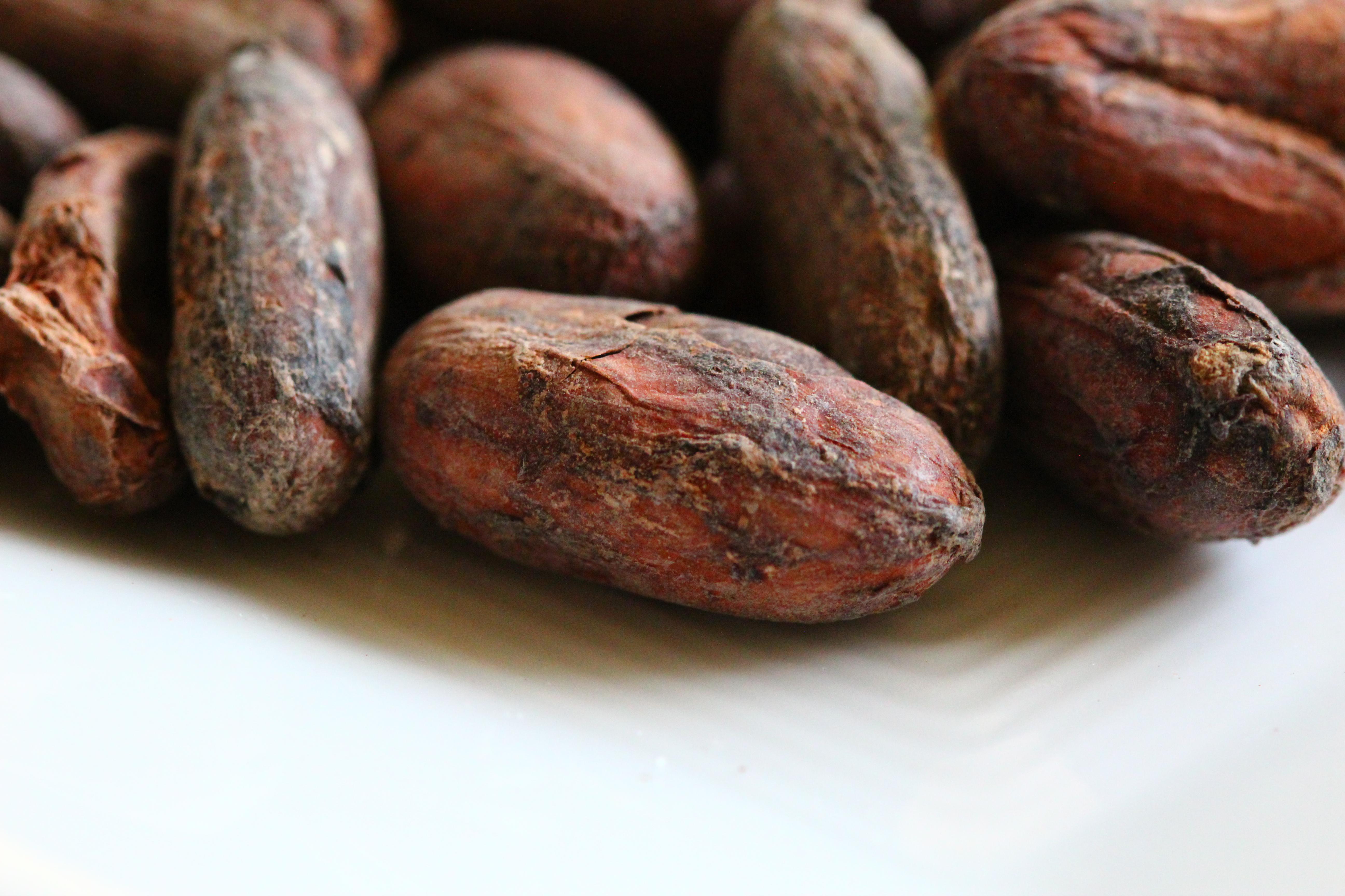 Cocoa Beans Wallpaper High Quality