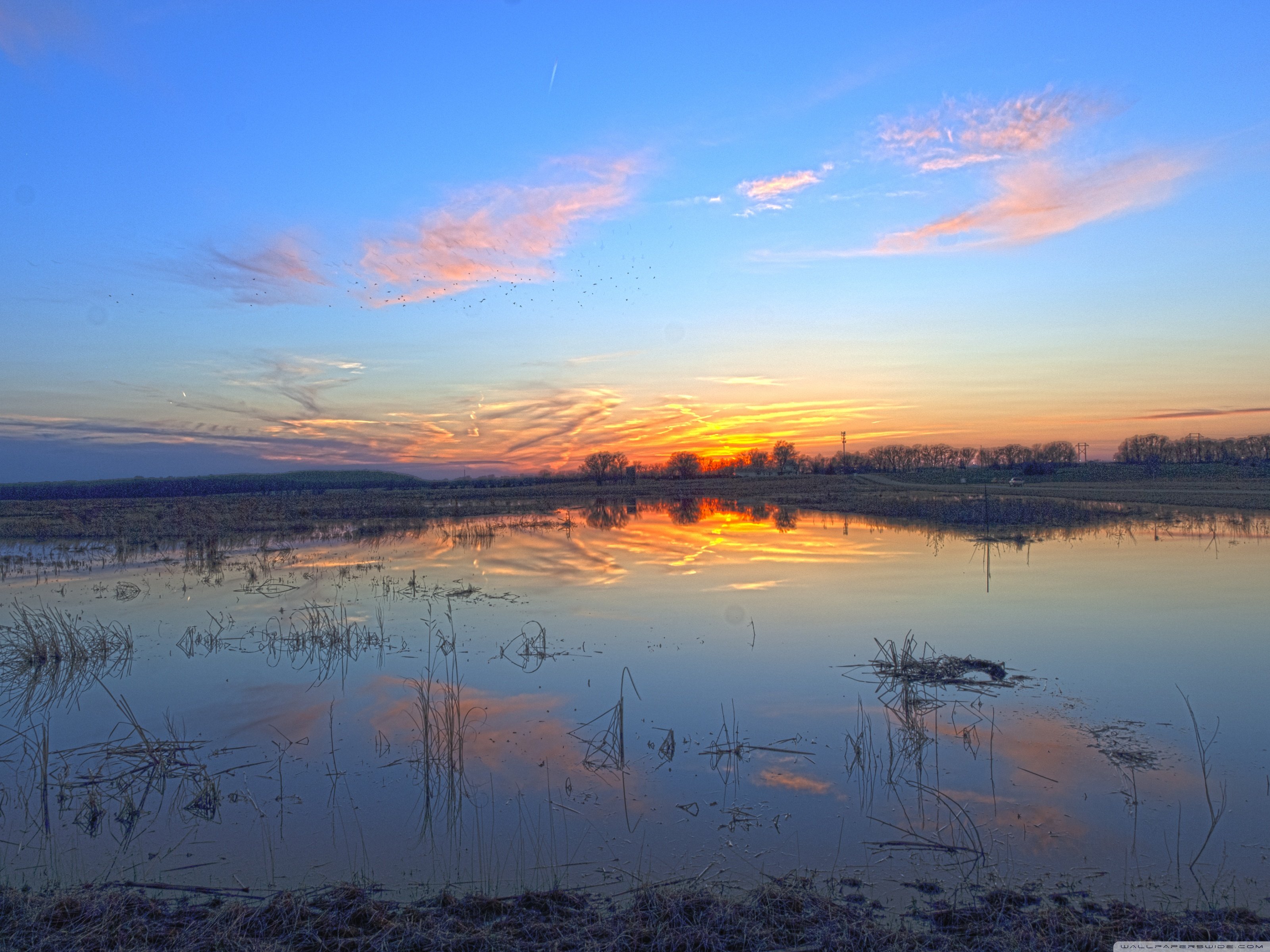 Baker Wetlands, Kansas ❤ 4K HD Desktop Wallpaper for 4K Ultra HD TV