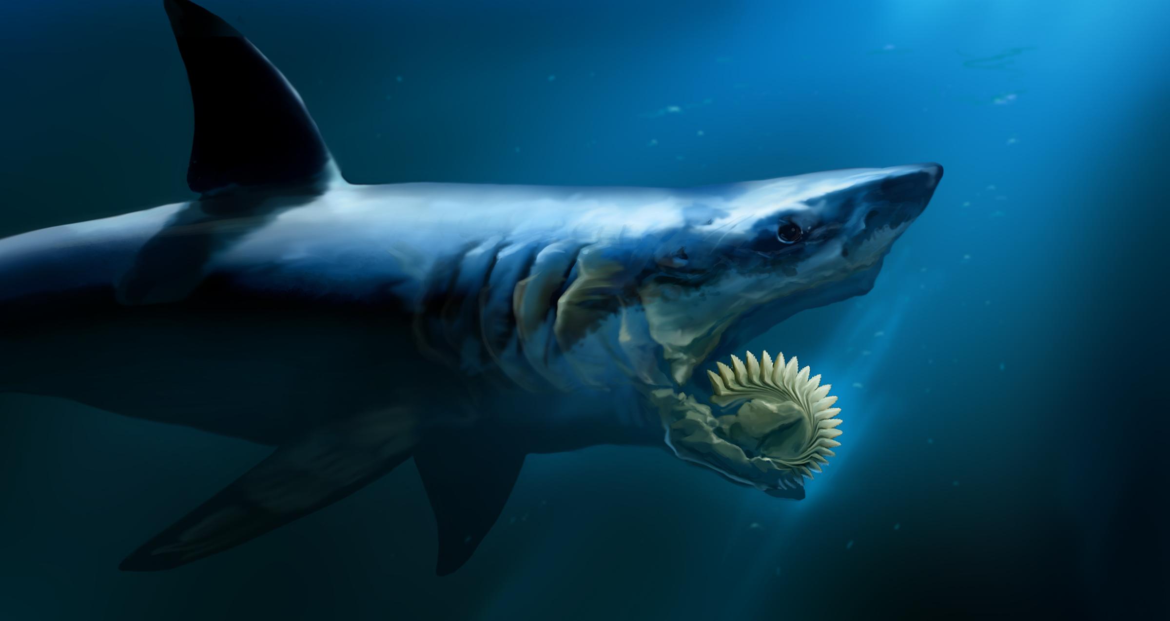 Helicoprion Wallpapers - Wallpaper Cave