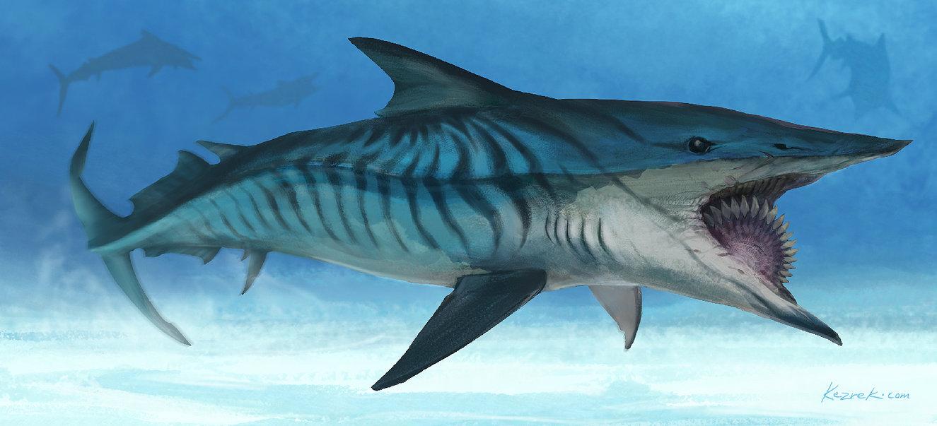 Helicoprion Wallpapers - Wallpaper Cave