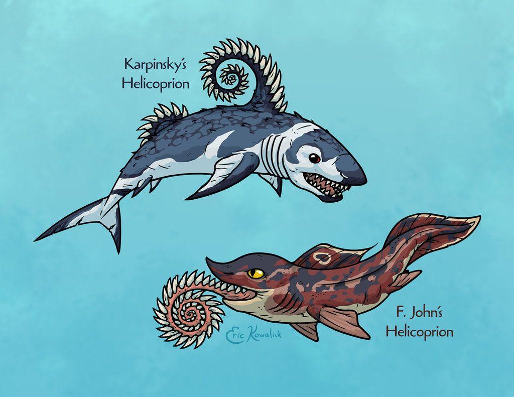 Helicoprion Ray Troll