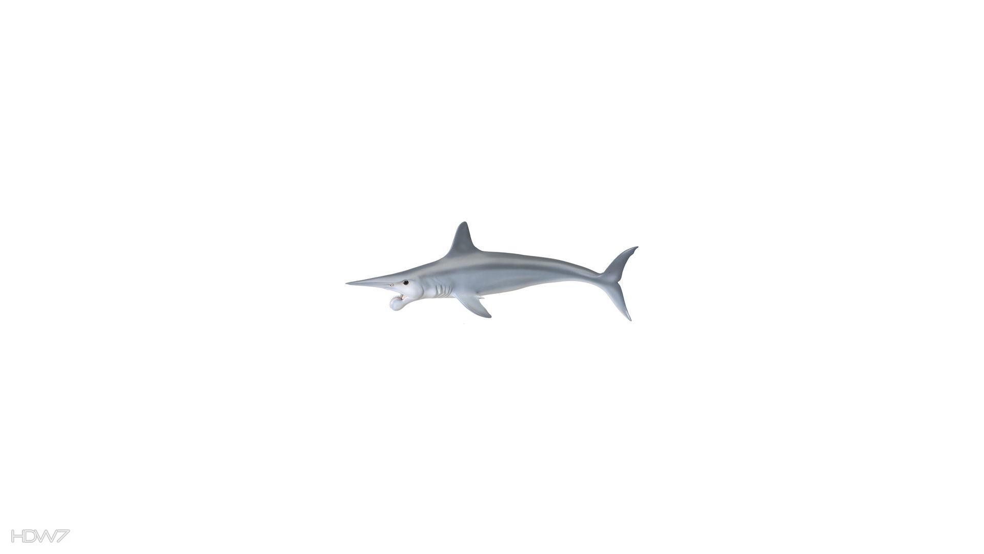 helicoprion a strange toothed shark. HD wallpaper gallery