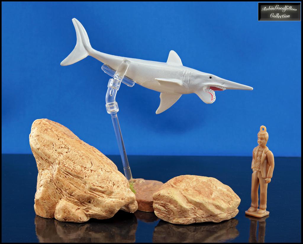 The World's newest photo of helicoprion Hive Mind