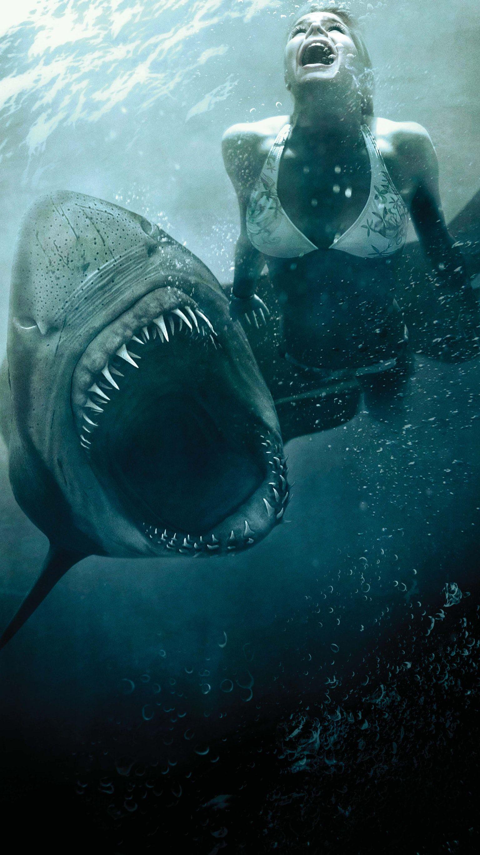 Shark Night 3D (2011) Phone Wallpaper. Sharks. Shark, Megalodon