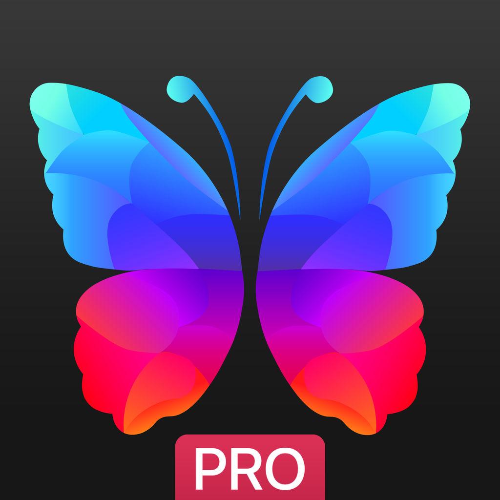 Everpix Pro Wallpaper App Data & Review
