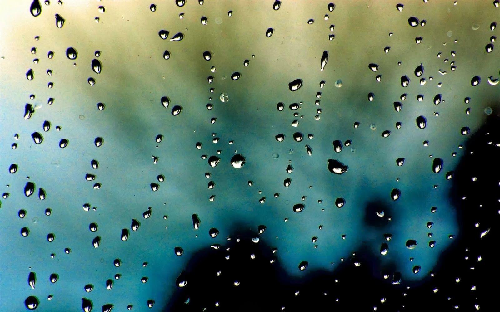 Background HD For Android Phones On Nature Wallpaper Mobile 1600