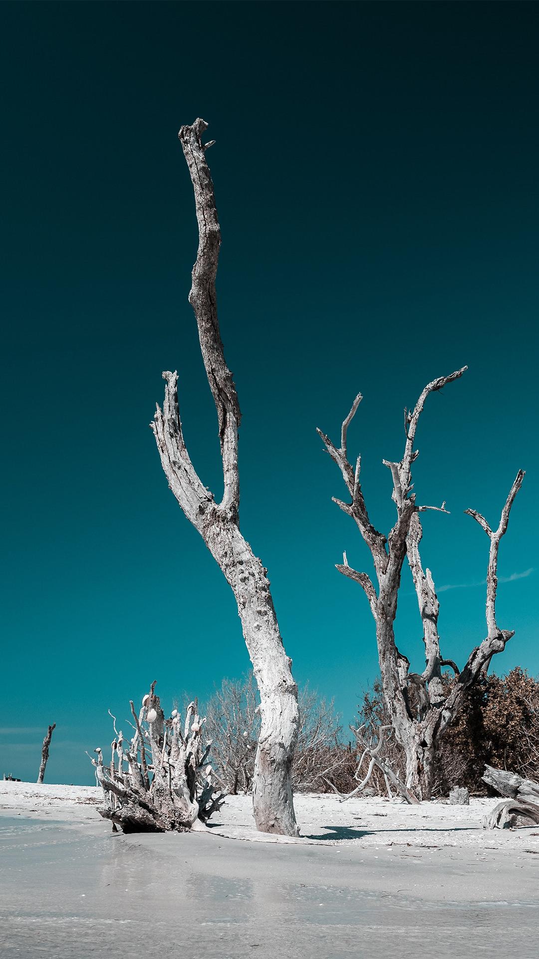 High Class Wallpaper (4k)