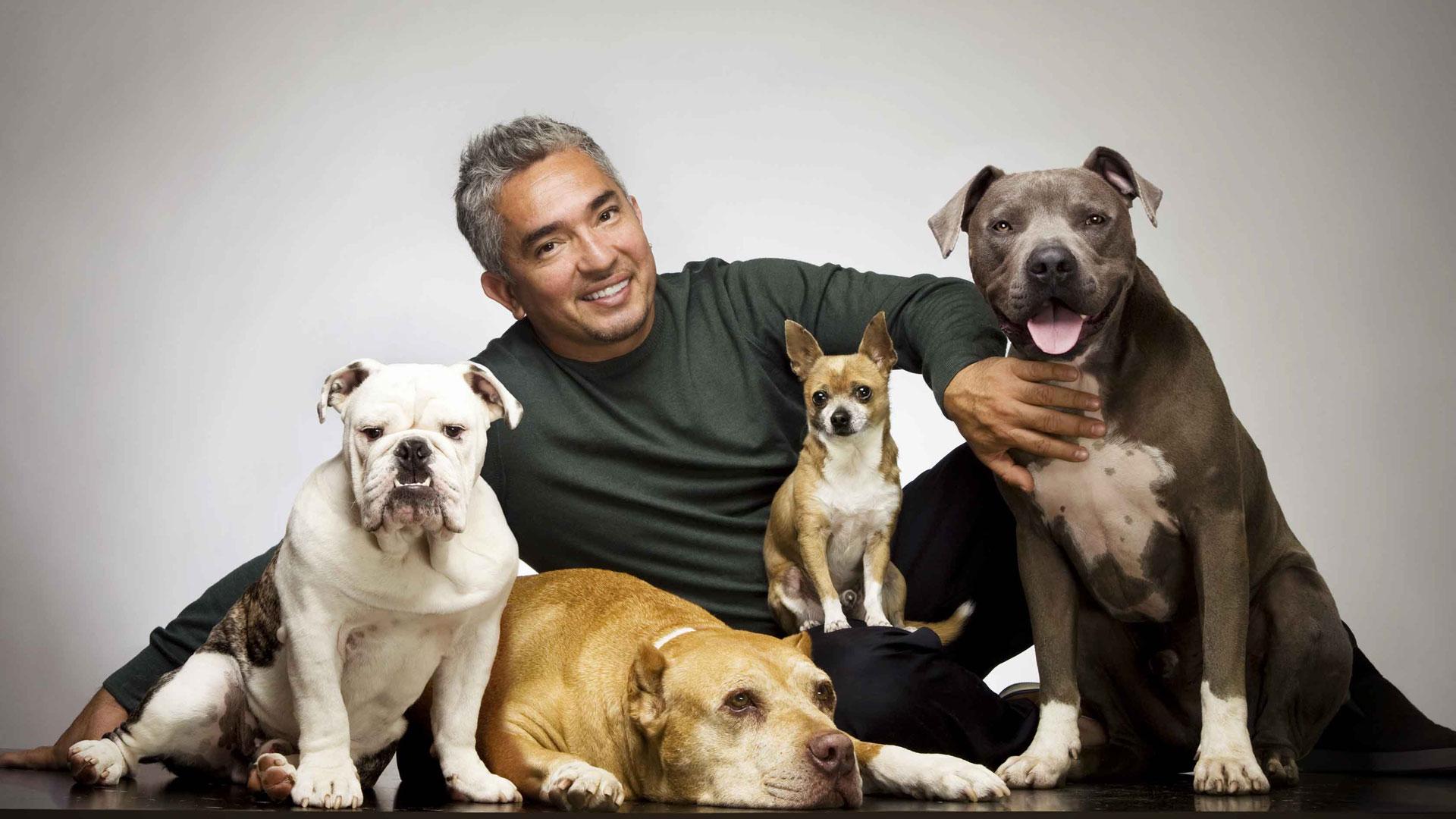 Cesar Millan: I'm not cruel to animals. The Big Issue