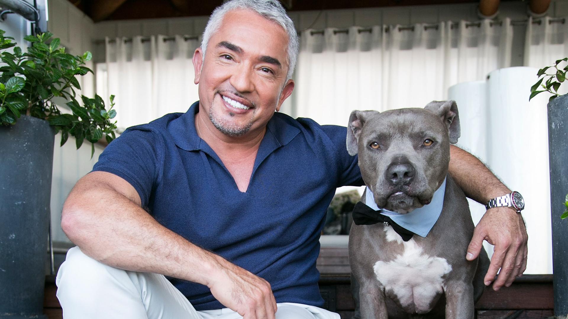 Cesar Millan's rules when getting a new puppy