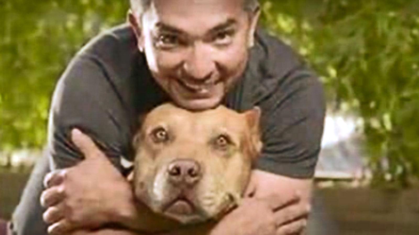 Dog Whisperer' Cesar Millan sued in pit bull attack news