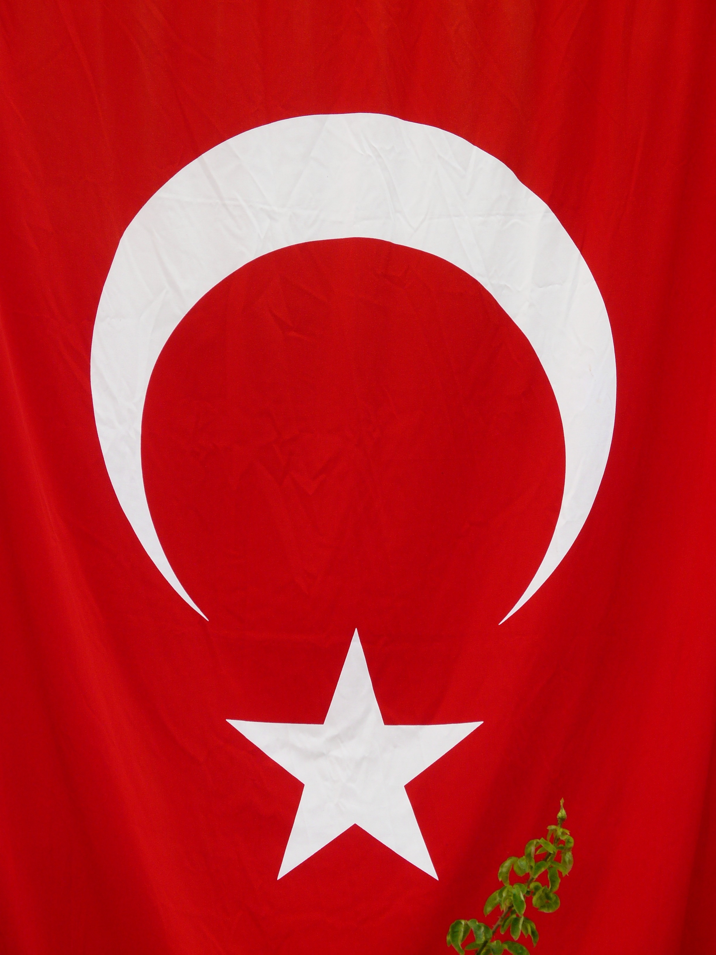 flag of turkey \ free image