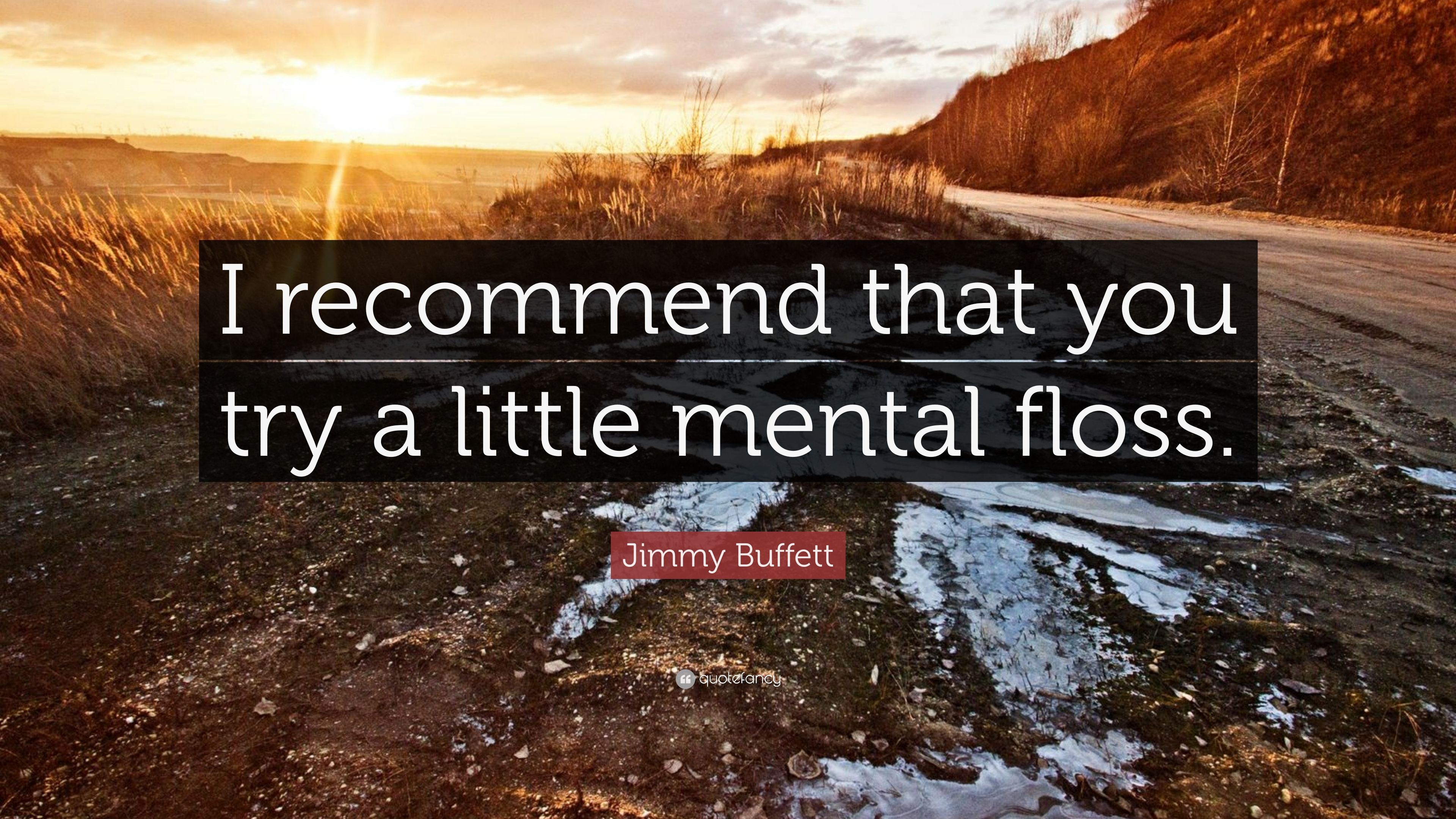 Jimmy Buffett Quote: “I recommend that you try a little mental floss
