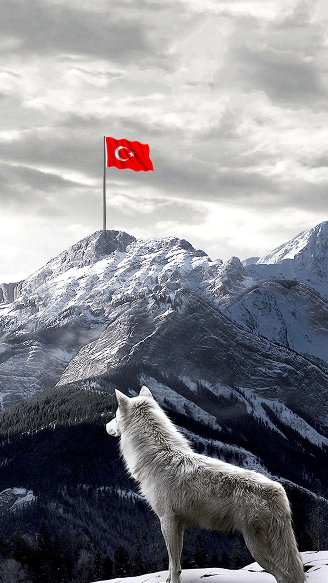 Ne Mutlu Türk'üm Derim Ben. Z_TURKEYSH TERROR
