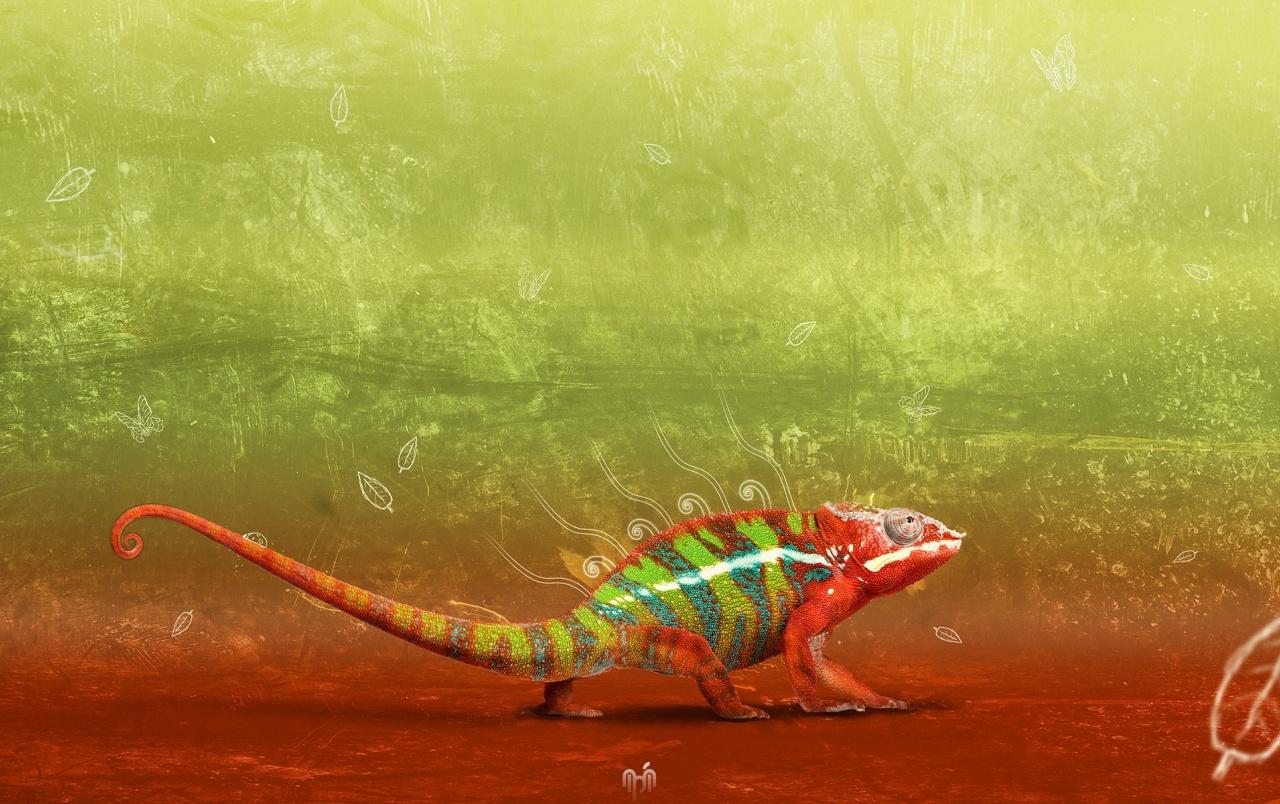 Colorful chameleon wallpaper. Colorful chameleon