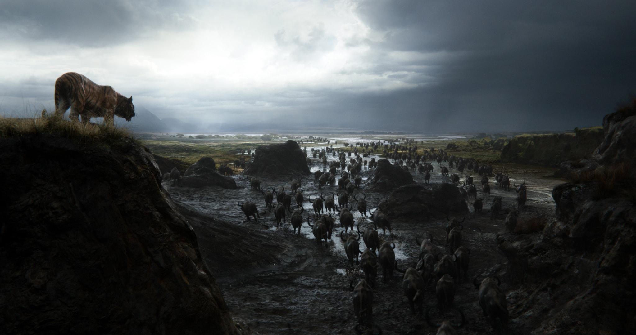 The Jungle Book HD Wallpaperwallpaper.net