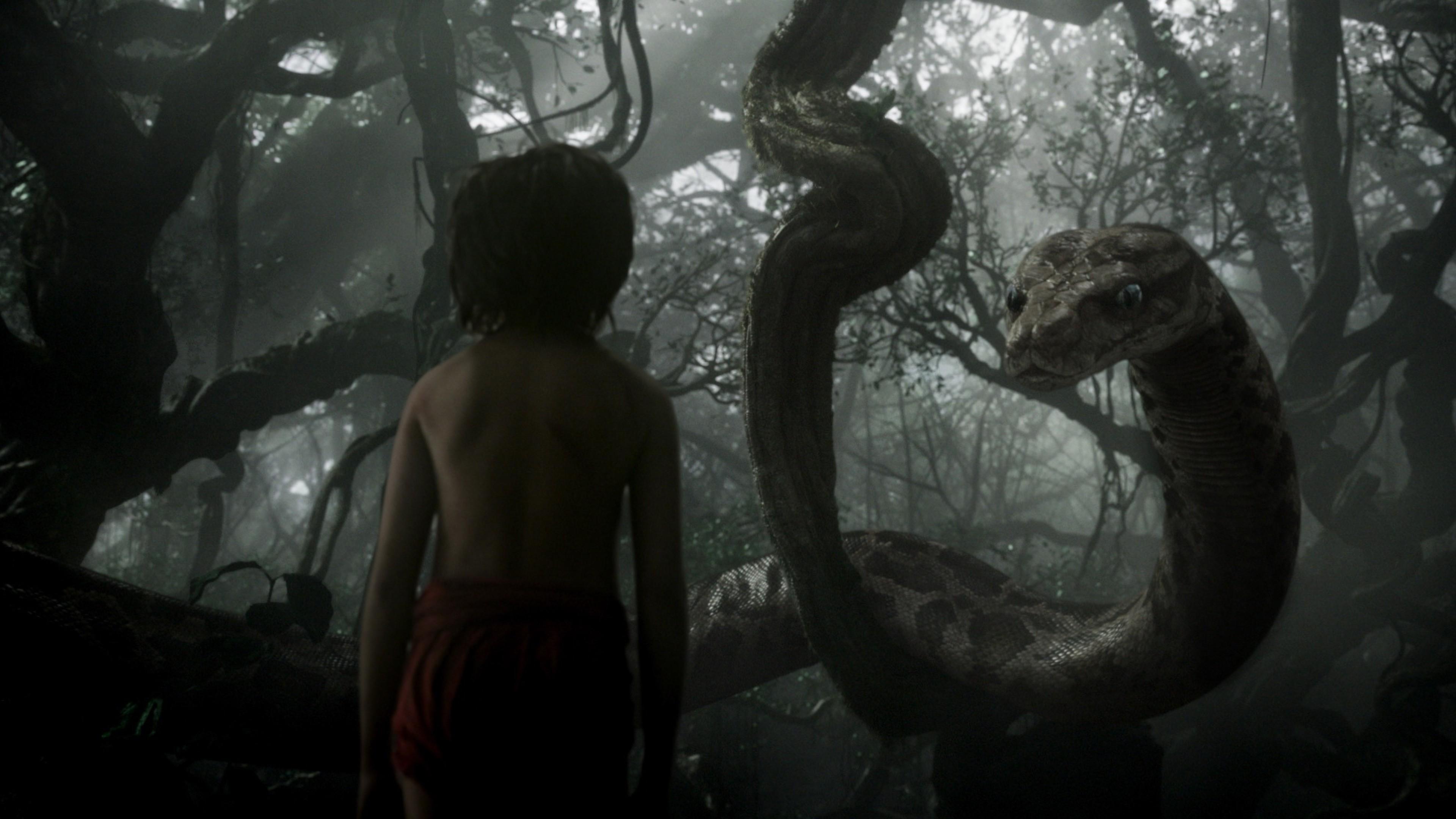 Wallpaper The Jungle Book, Mowgli, Kaa, adventure, fantasy, Best