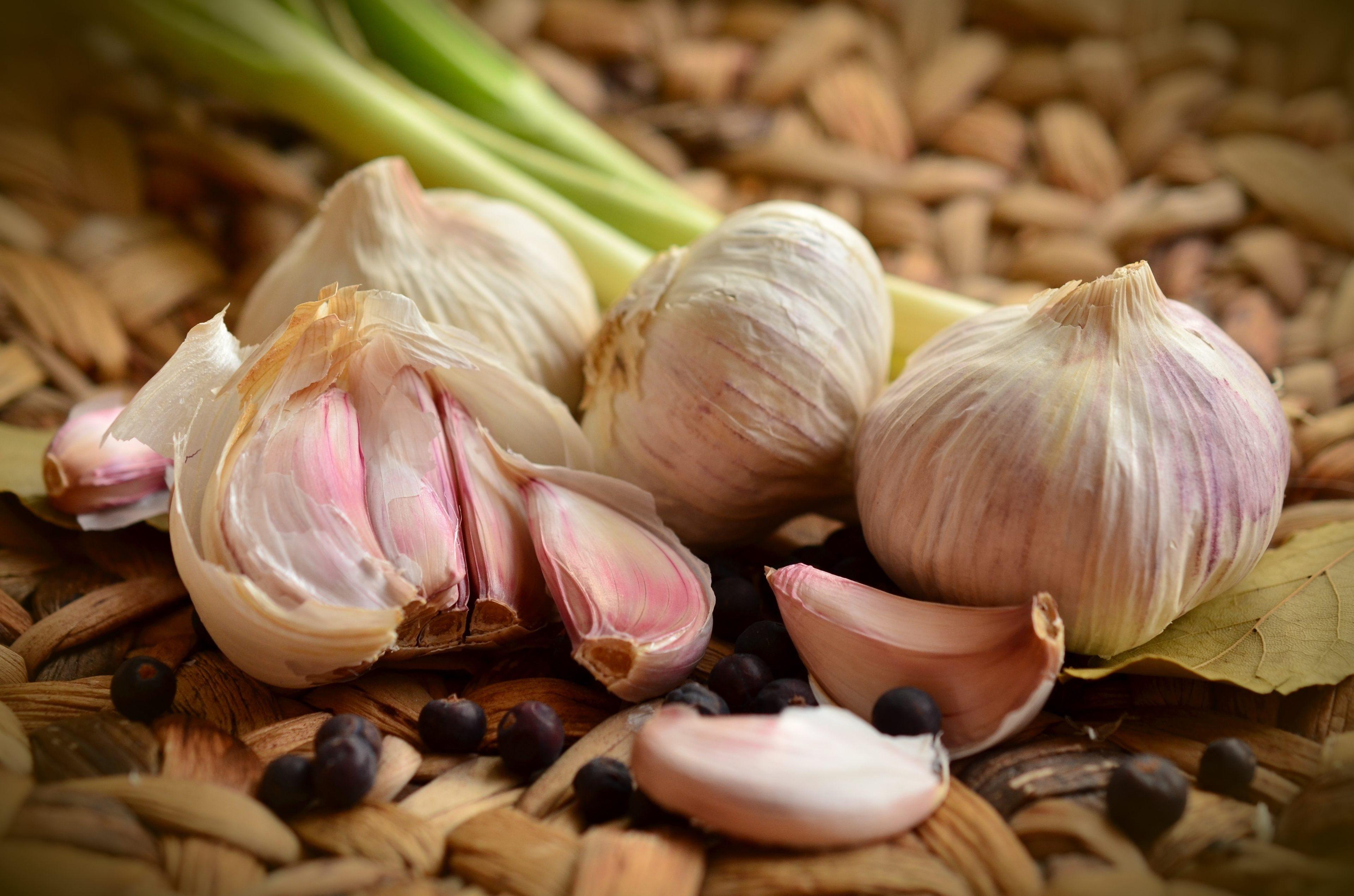 Garlic Wallpaper HD Free Image Download