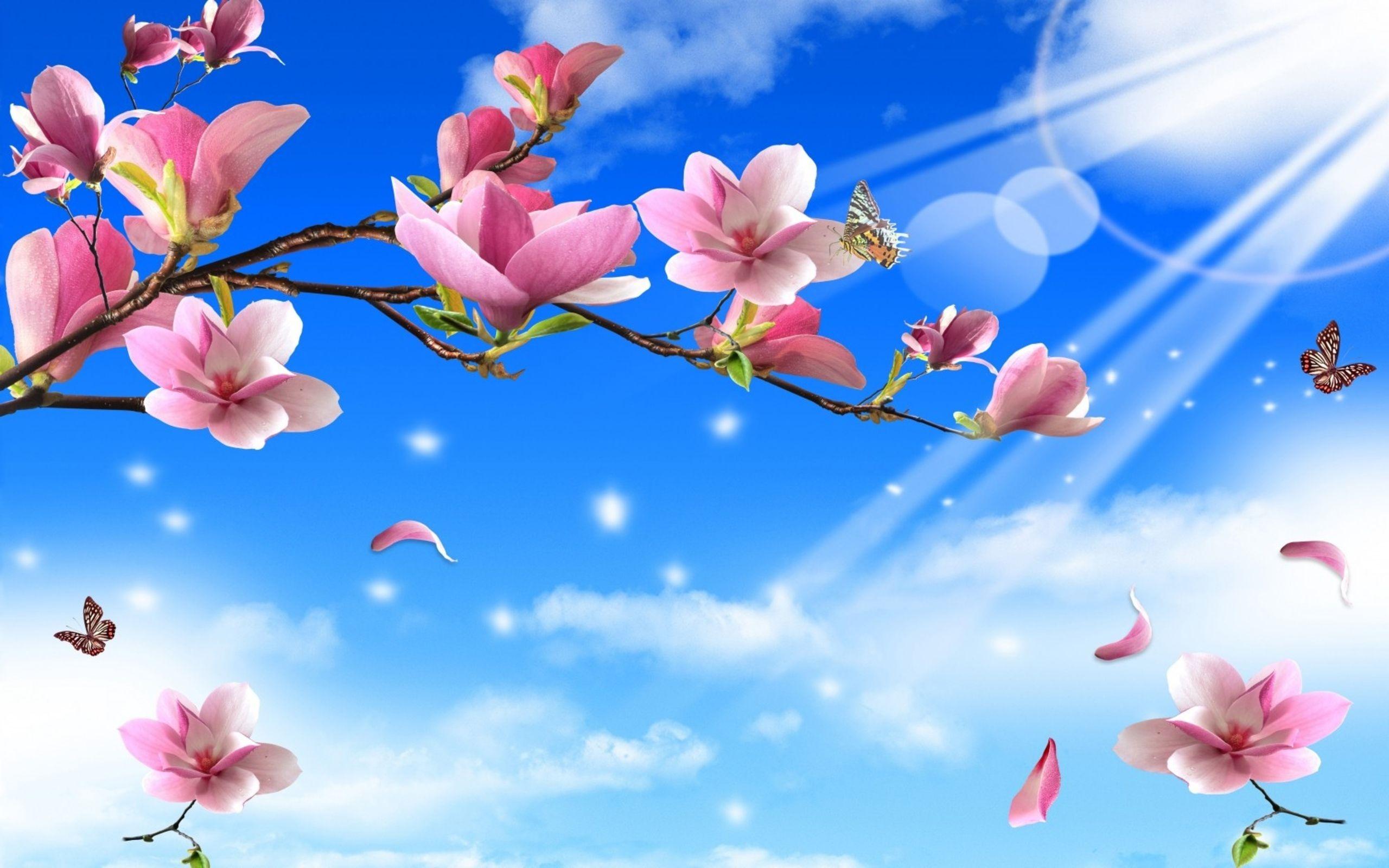 Spring Flowers And Butterflies Wallpaper (2560×1600). Blue Flower Wallpaper, Pink Flowers Wallpaper, Free Flower Wallpaper