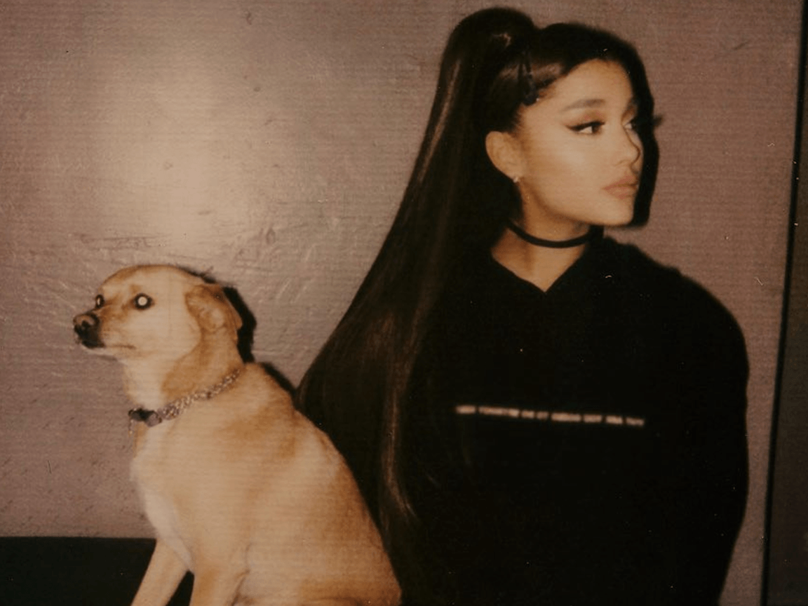 Ariana Grande shares details about her love life plan in 2019
