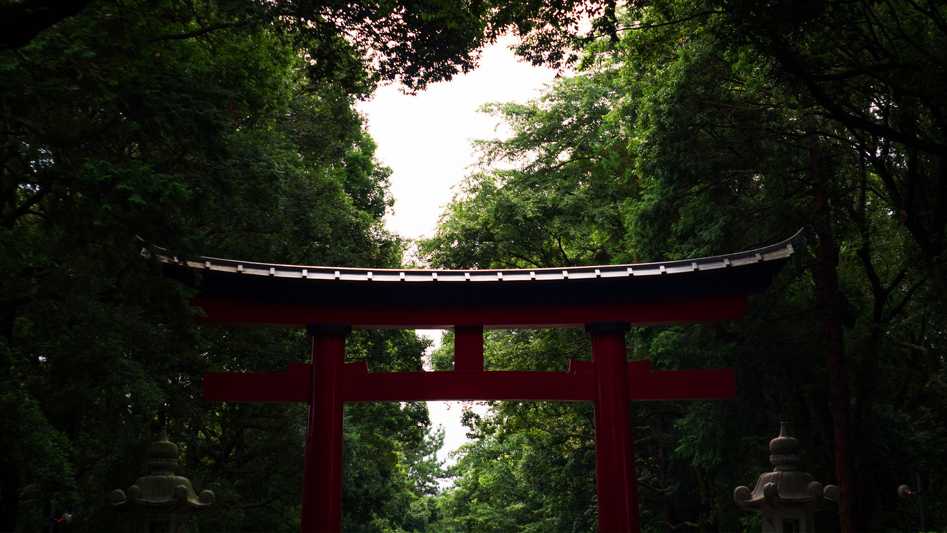 torii gate in forest [1920x1080]
