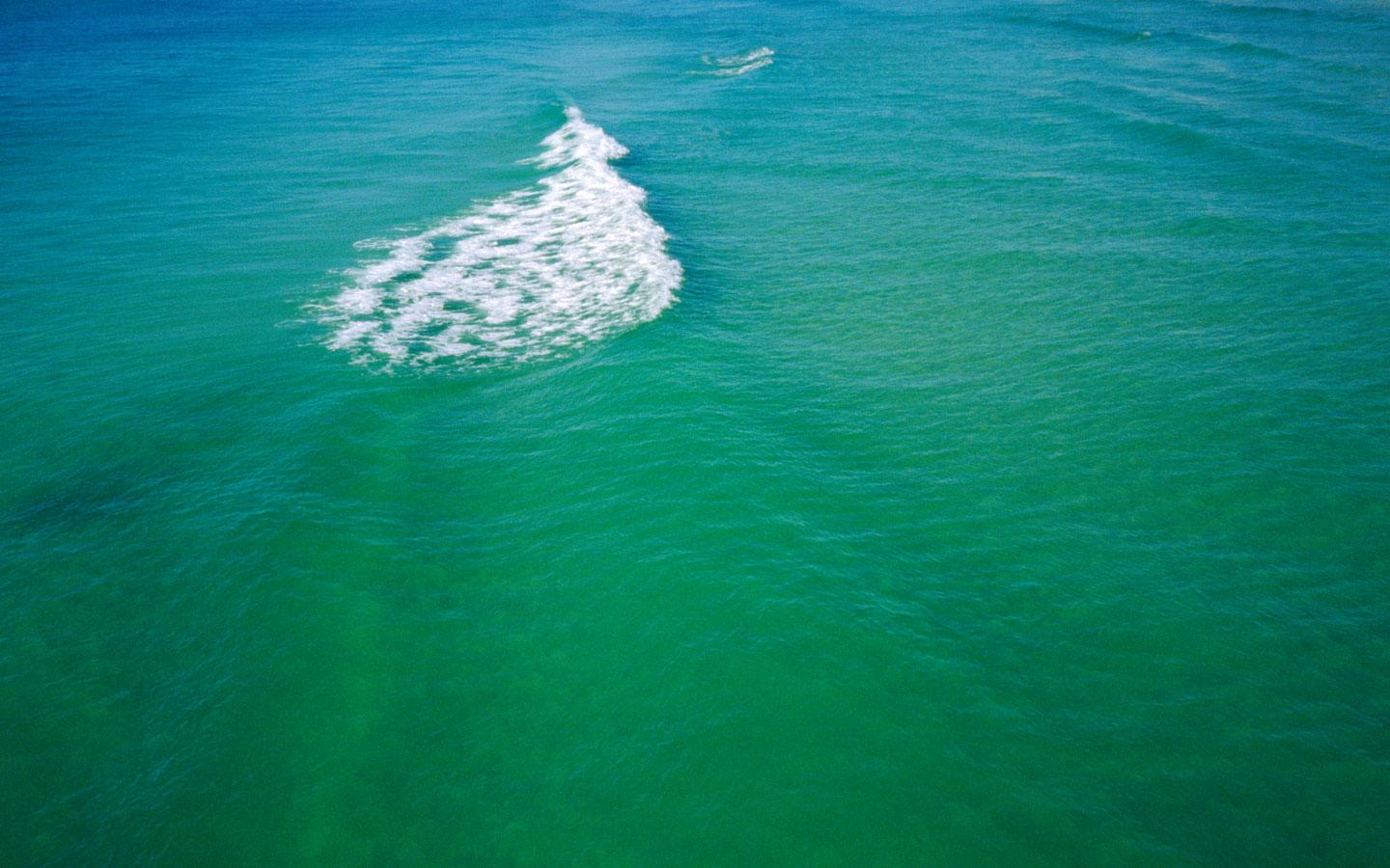 Desktop Picture: Panama City Beach Wave