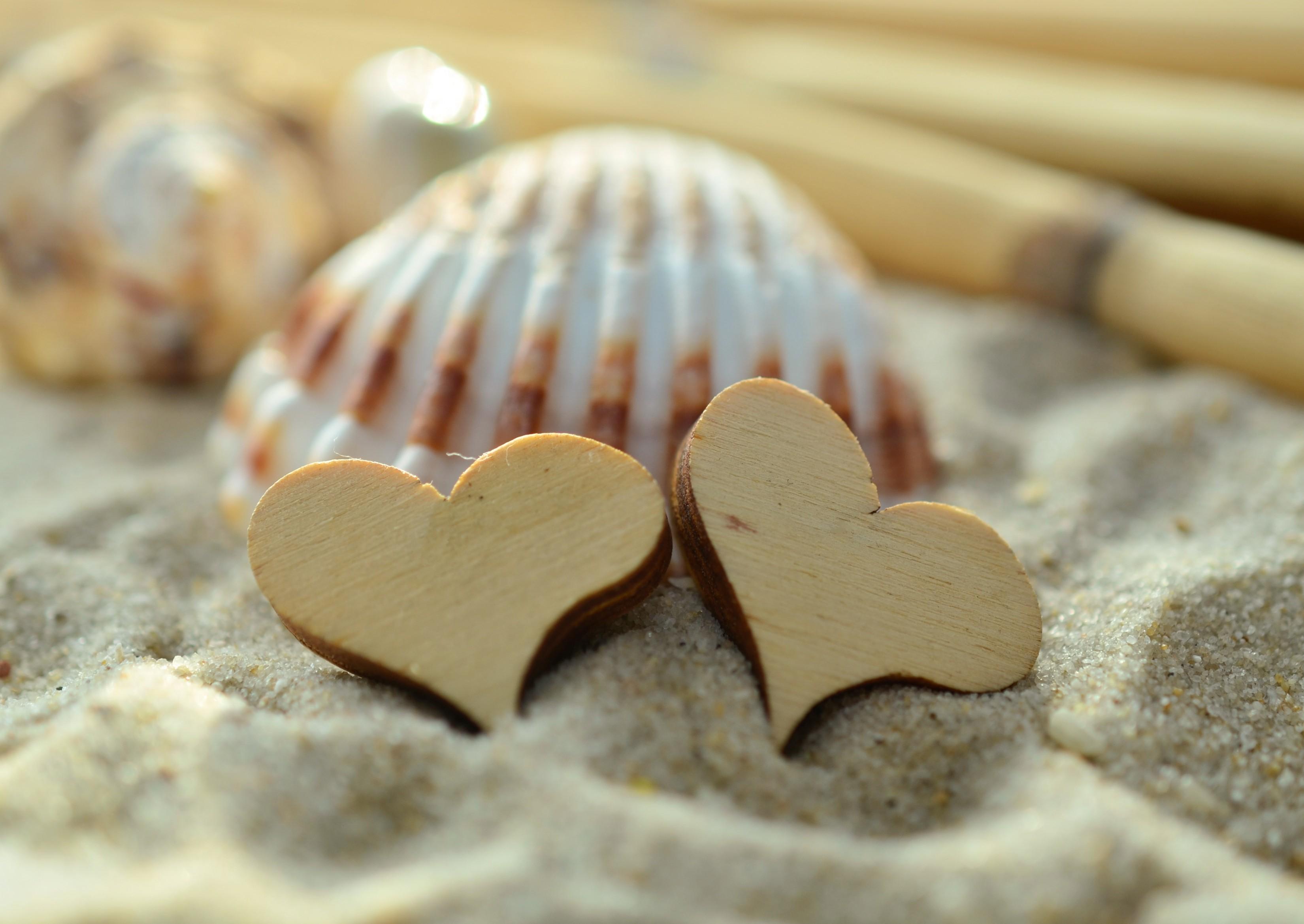 Download 3300x2338 Sand, Wood Heart, Shell Wallpapers