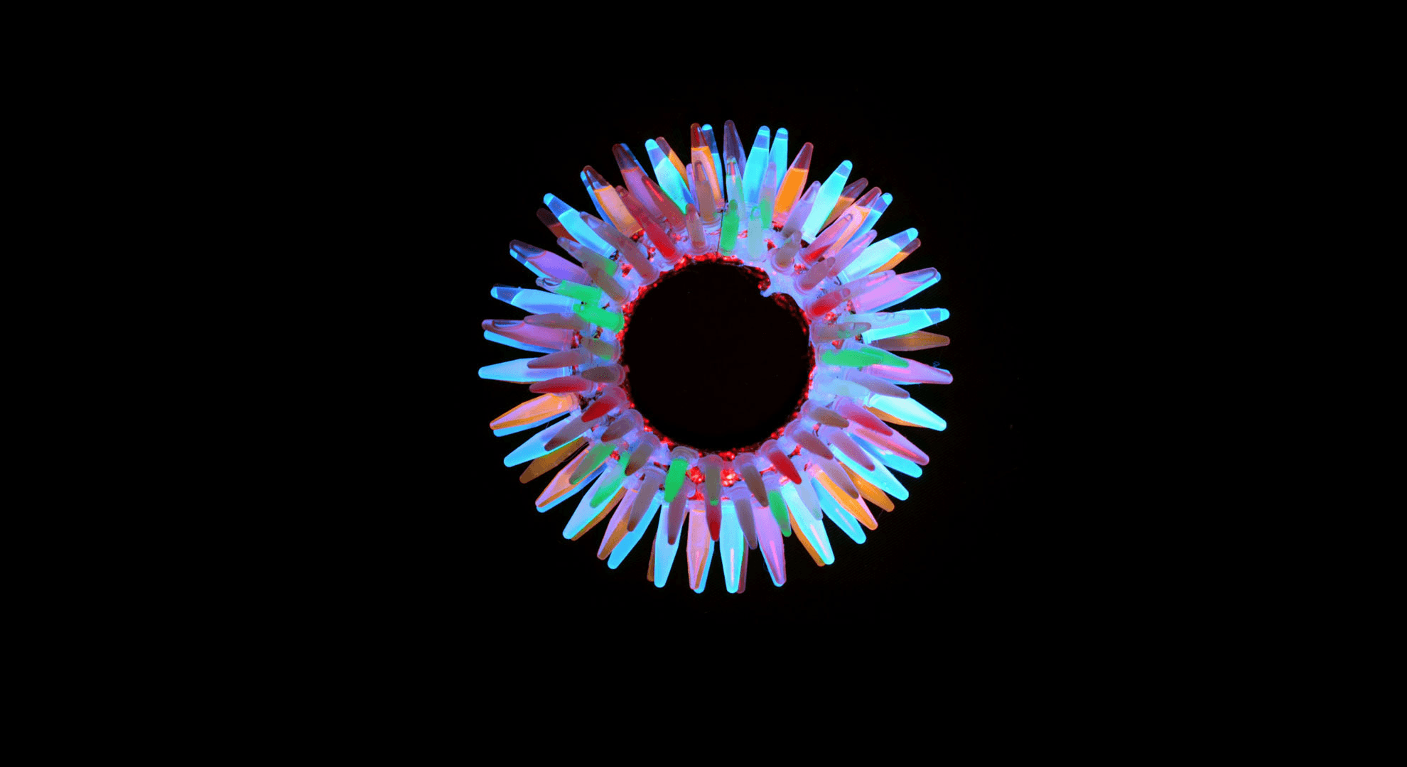 HD Biology Wallpaper