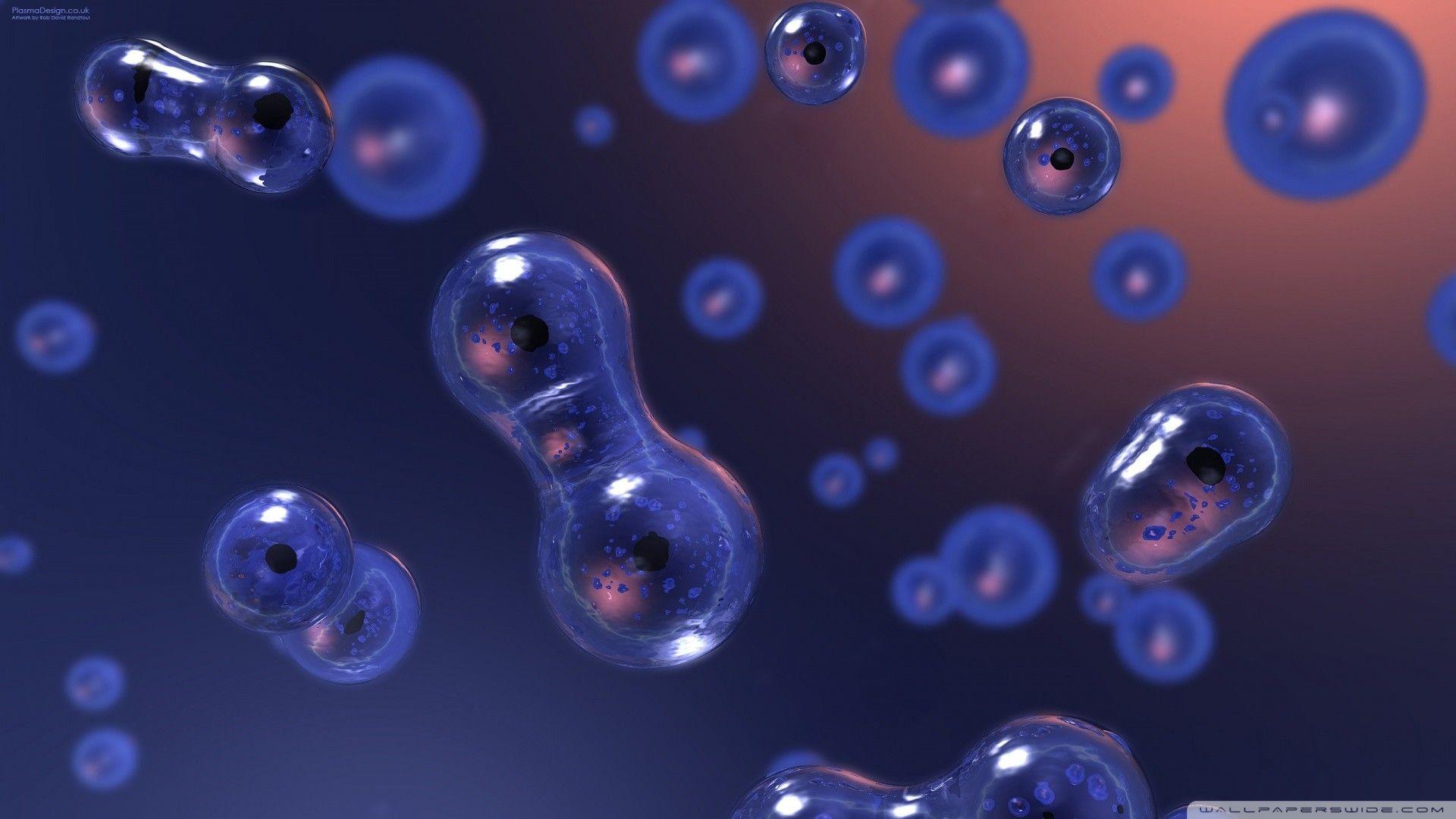 Biology Wallpaper Image