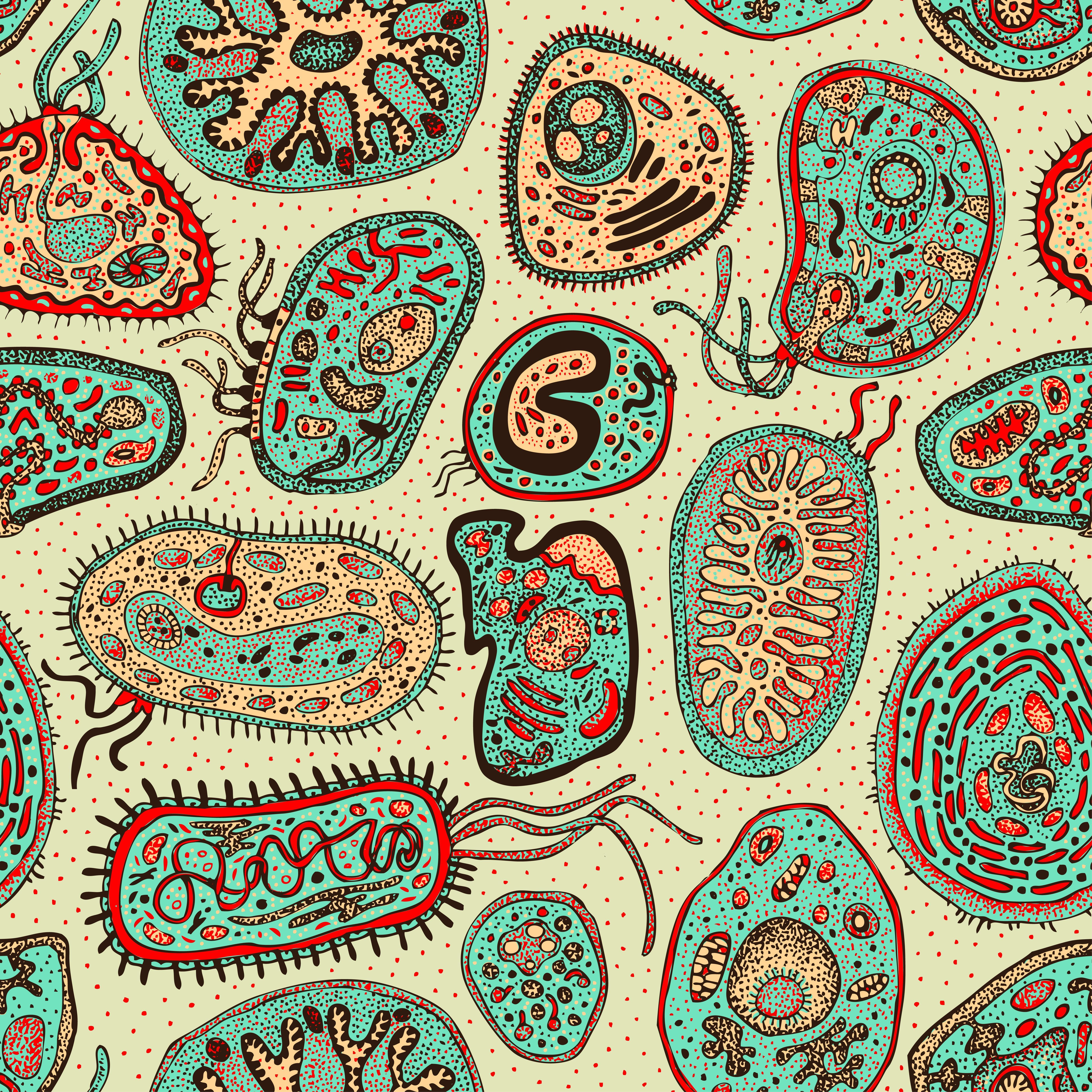 human biology wallpaper