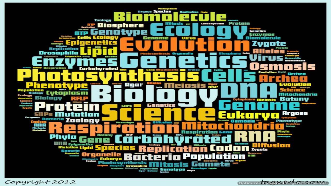Biology Wallpaper HD VFGW