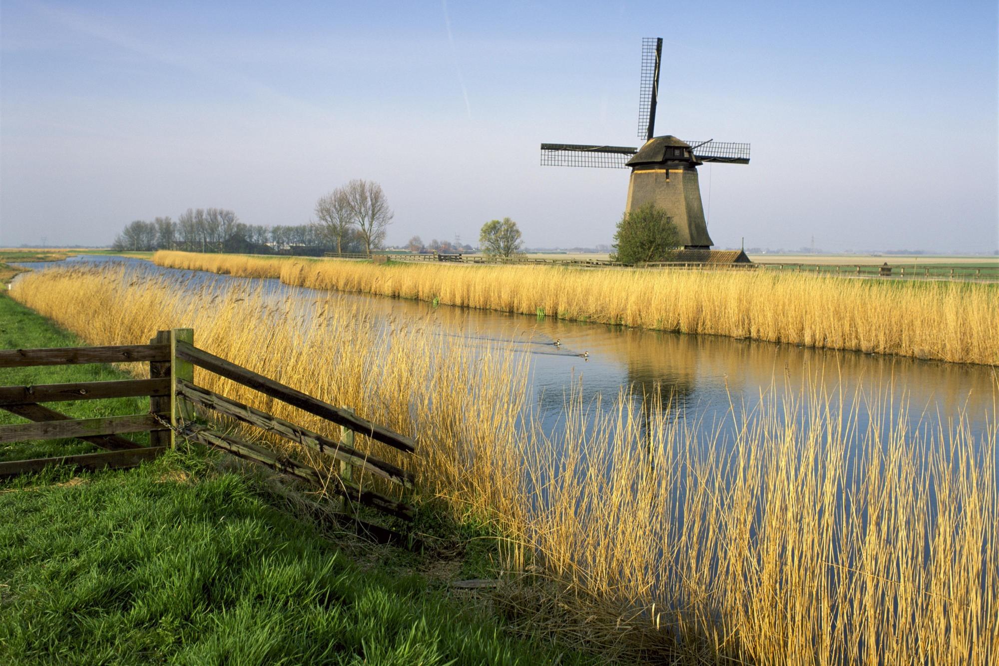 Holland windmills wallpaper. PC