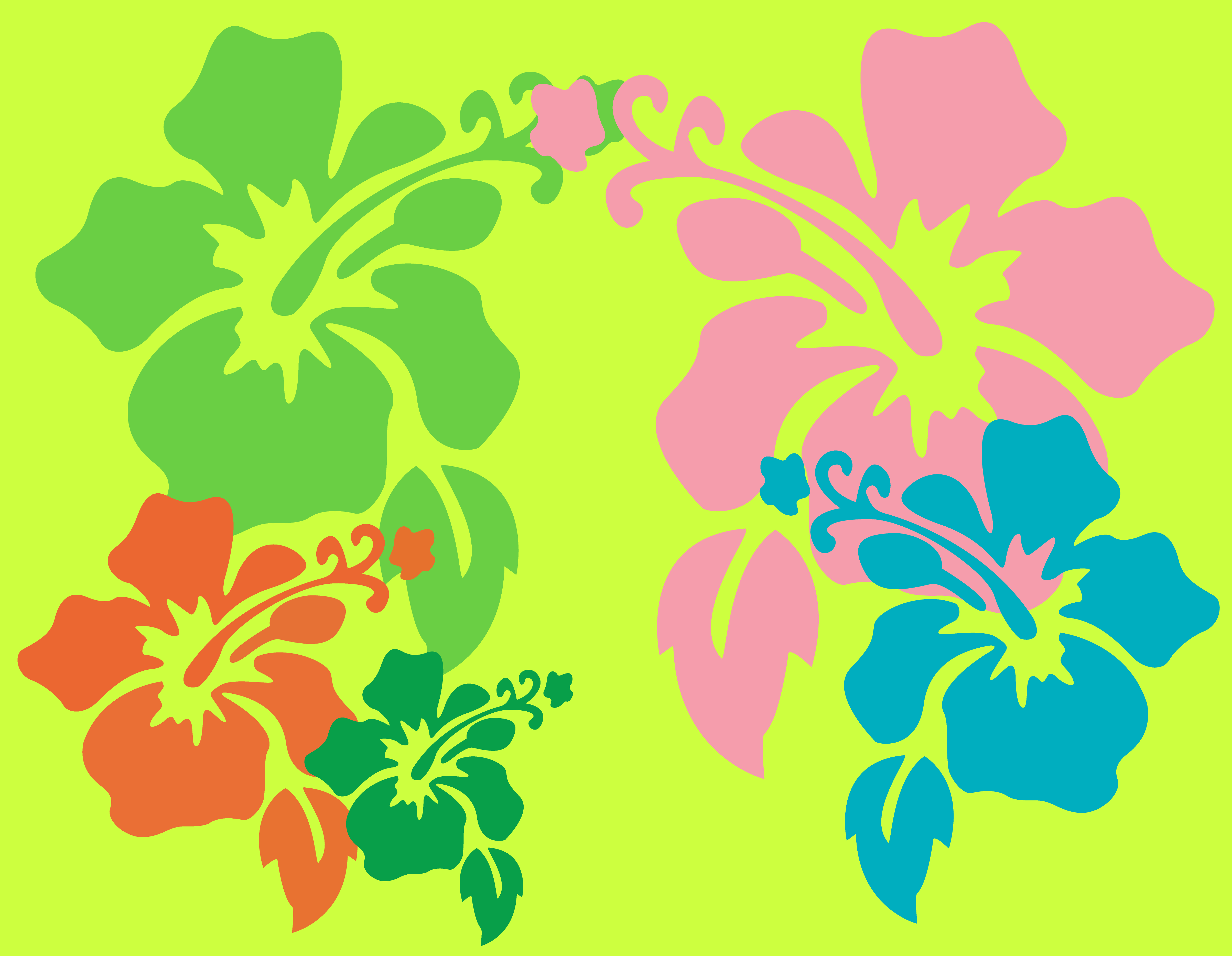 Hawaiian Flower Background