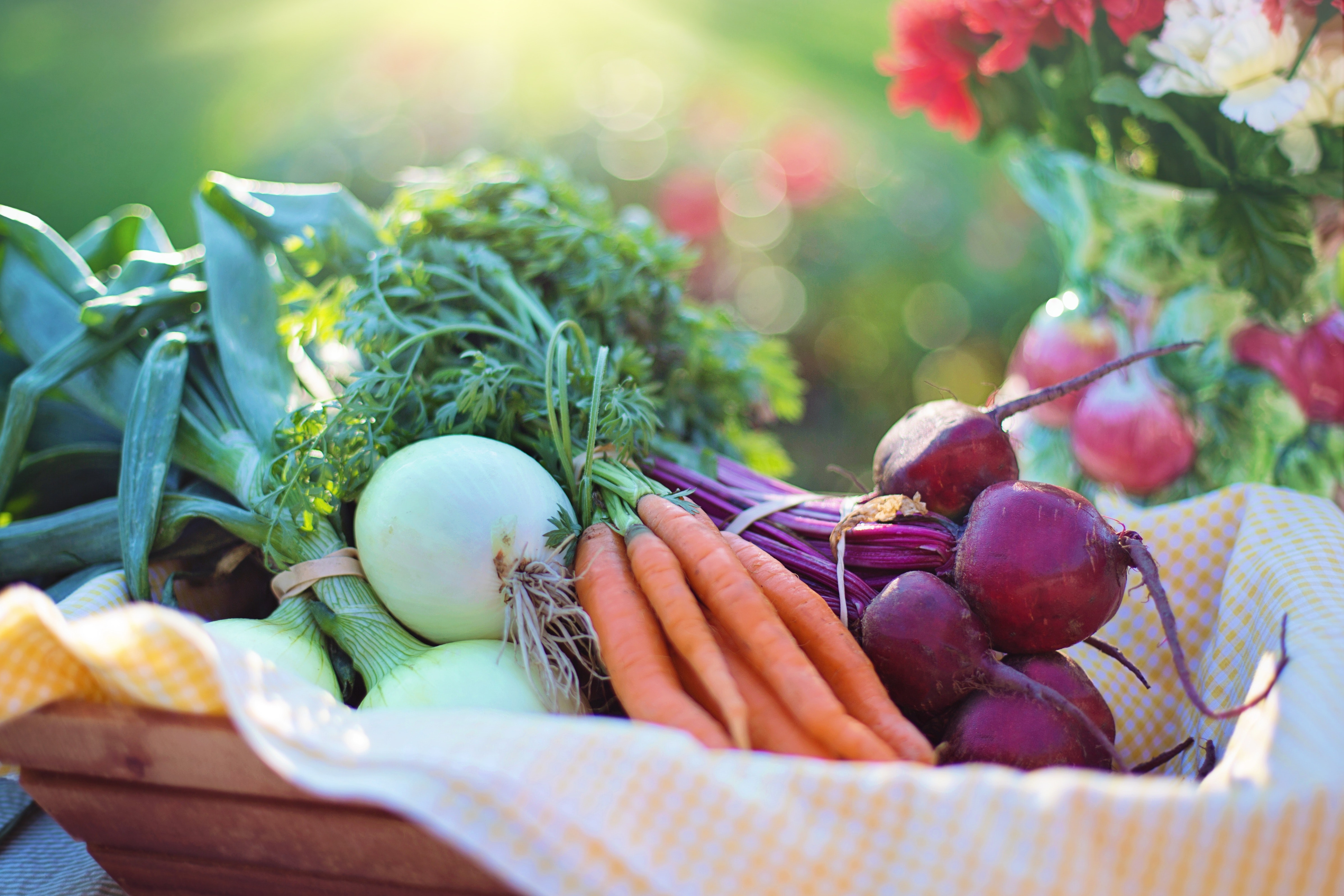 Great Vegetables Photo