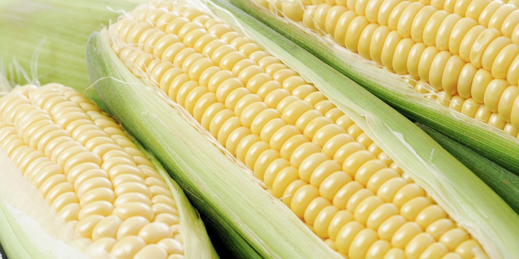 Download 1800x900 Corn, Macro, Vegetable Wallpaper