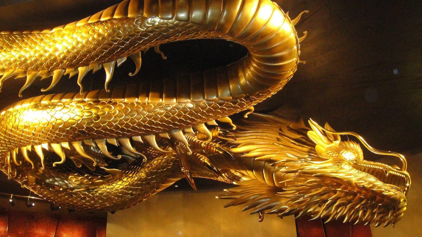 Gold Dragon Wallpaper Free Gold Dragon Background
