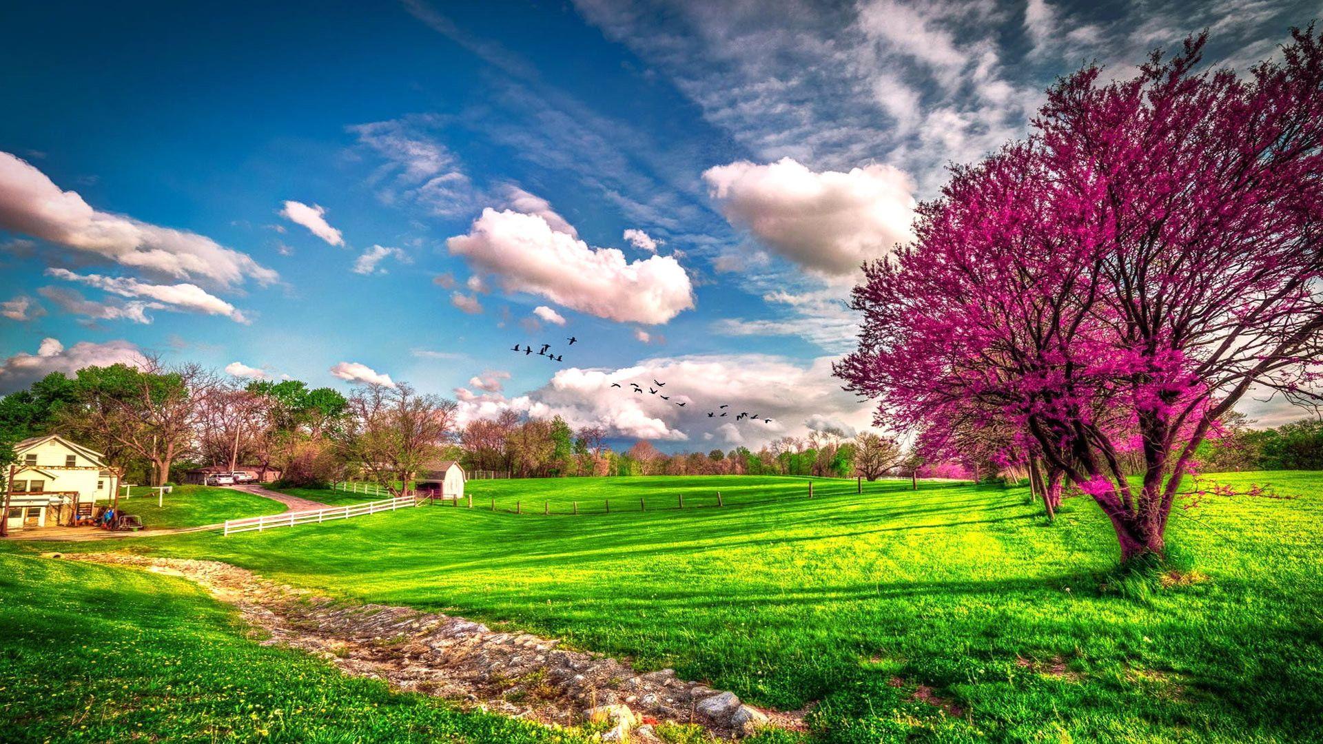 Landscape beautiful spring nature - Spring Wallpaper. Seasons Wallpaper. download beautiful HD Wa. Spring desktop wallpaper, Spring landscape, Spring wallpaper