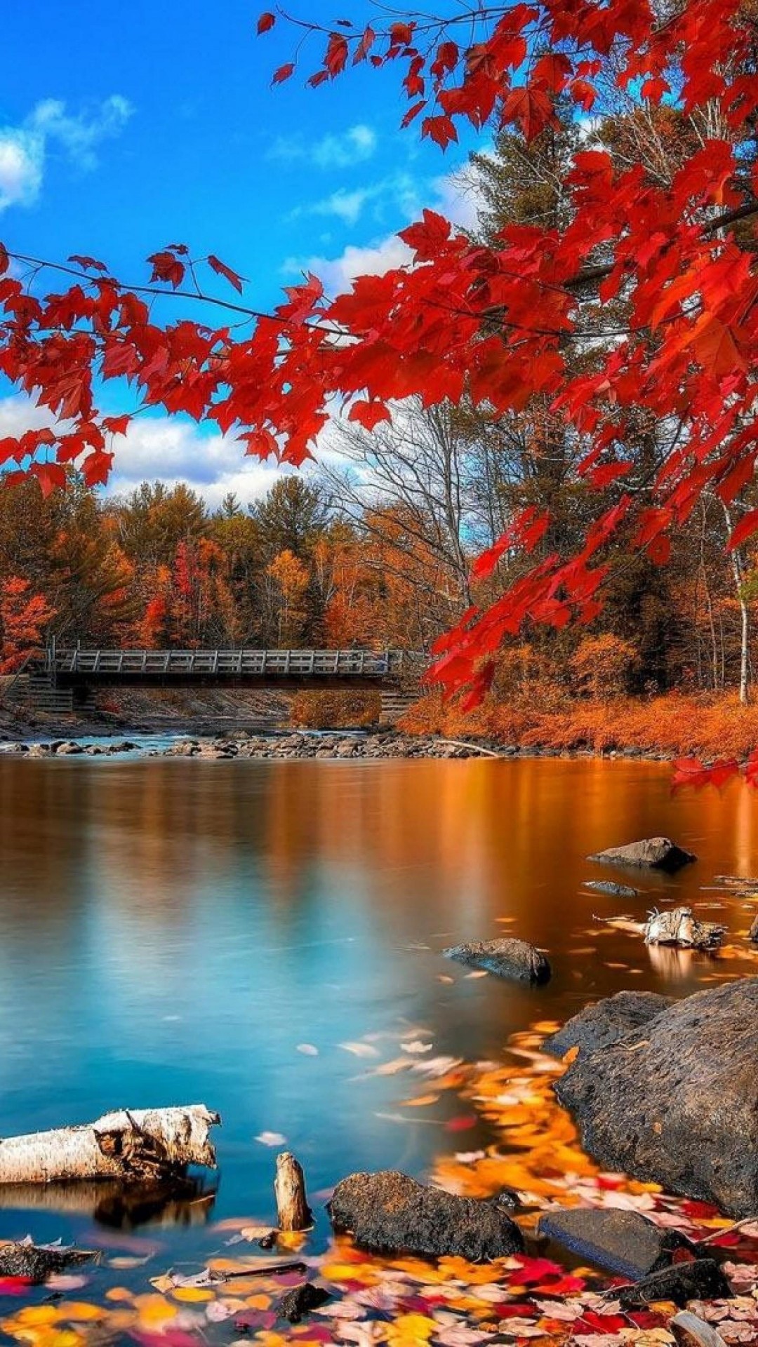 Seasons HD Wallpaper for Xiaomi Redmi Note 3. Wallpaper