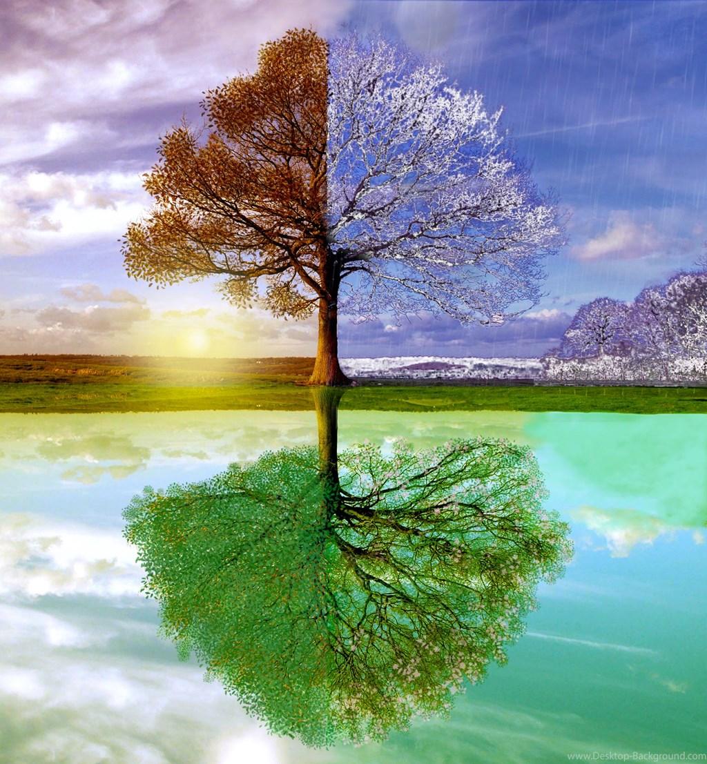 Changing Seasons Wallpaper Desktop Background