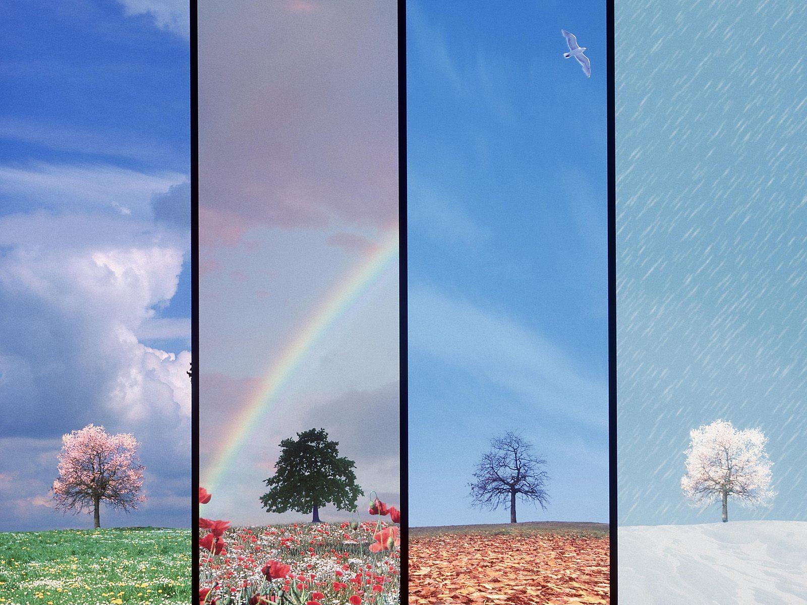 Four Seasons Wallpaper 15 X 1200