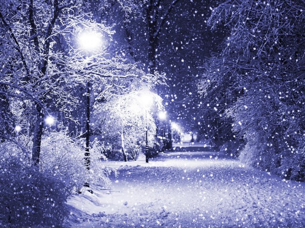 Season Wallpaper 11 X 768