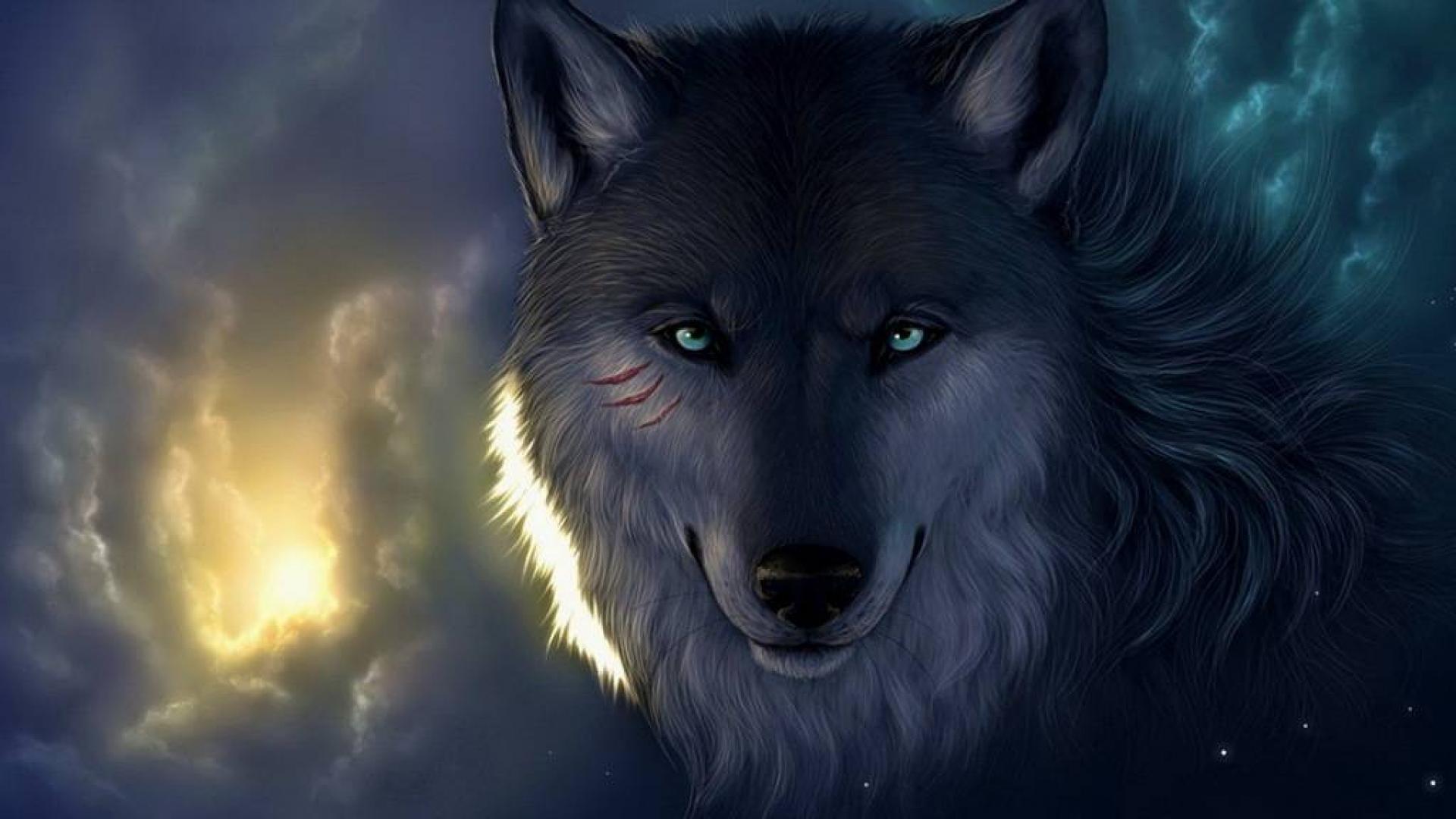 Wolf Wallpaper background picture