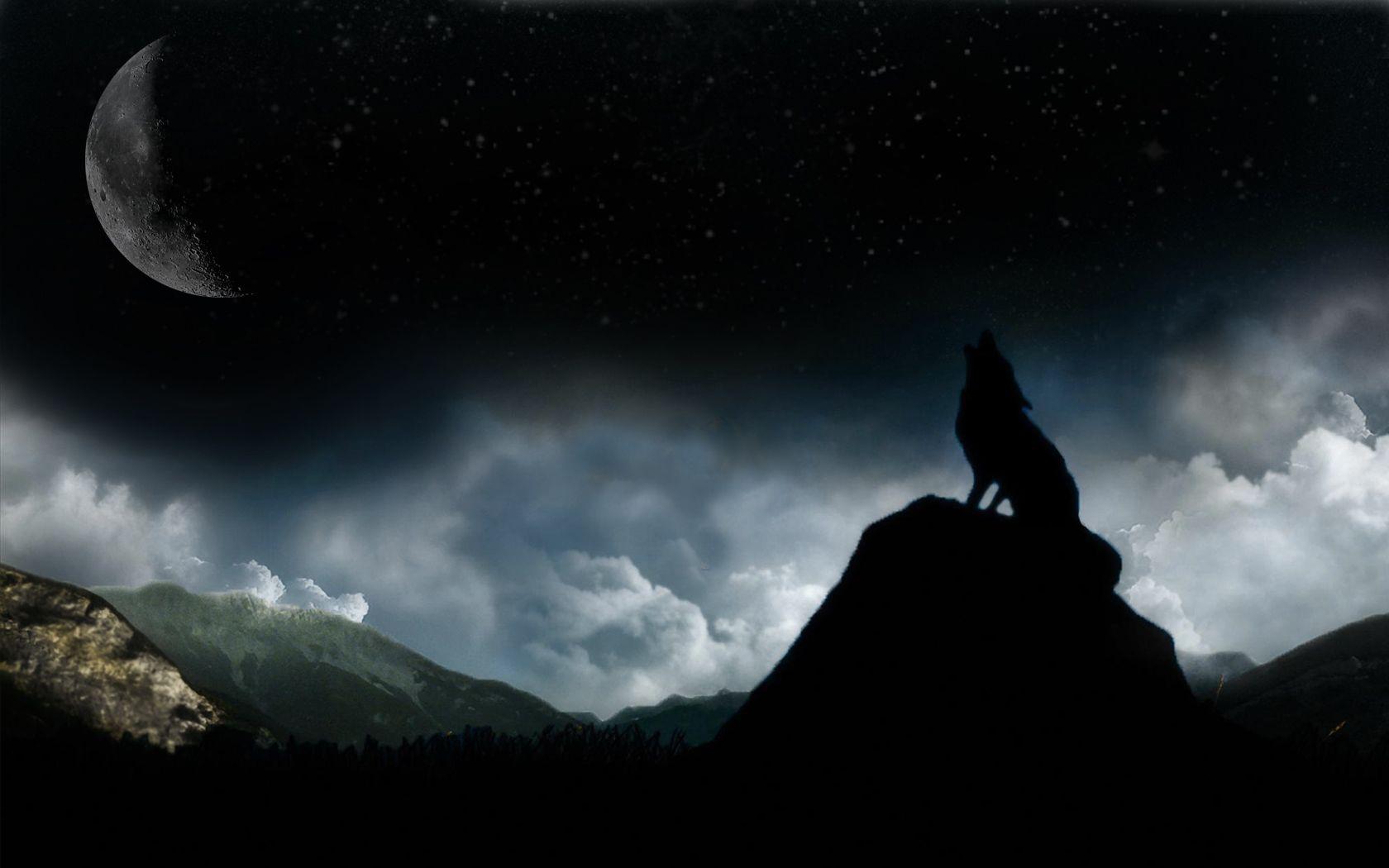 Dark Moon Wolf HD Wallpaper, Background Image