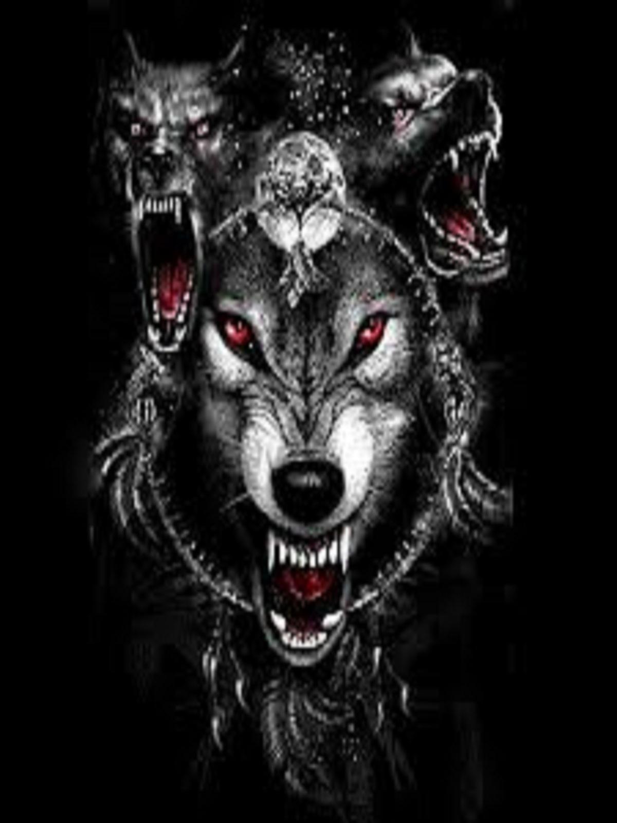 Wolf lovers place image dark wolves HD wallpaper and background