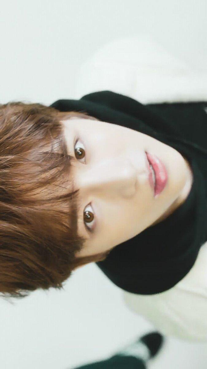 TXT Archives [HIATUS] - + simple txt wallpaper kai